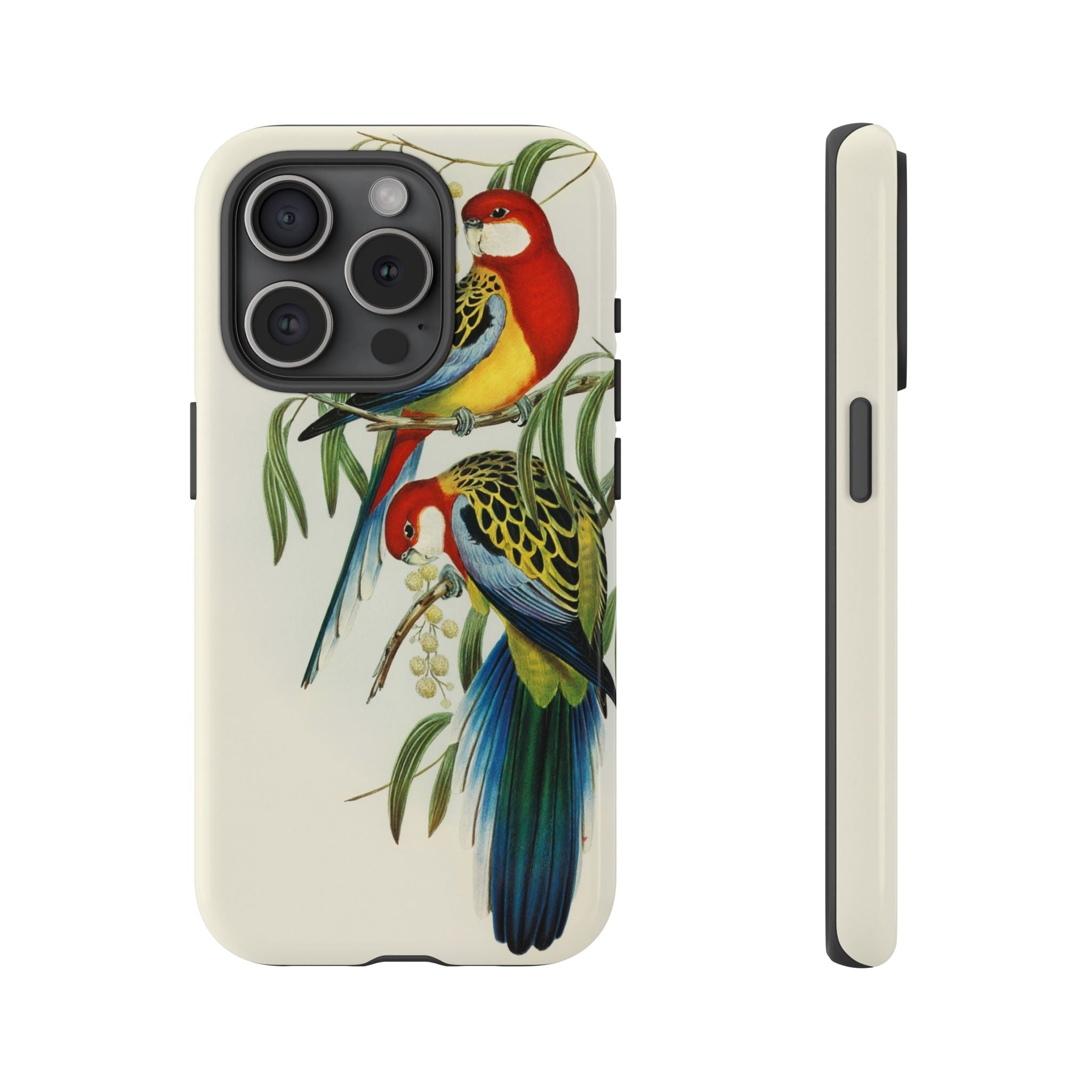 Rosehill Parakeet by Elizabeth Gould - Tough Case