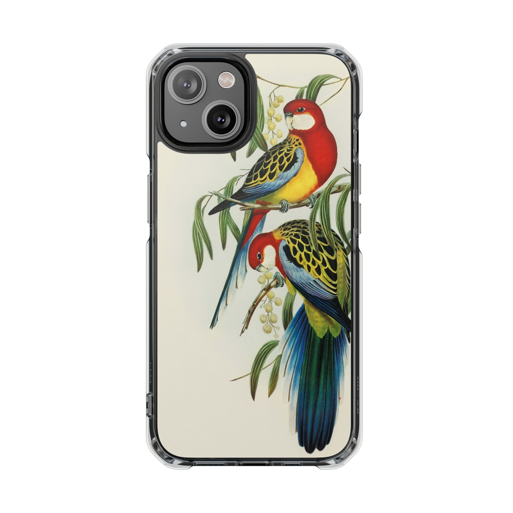 Rosehill Parakeet by Elizabeth Gould - Magnetic Clear Impact Case