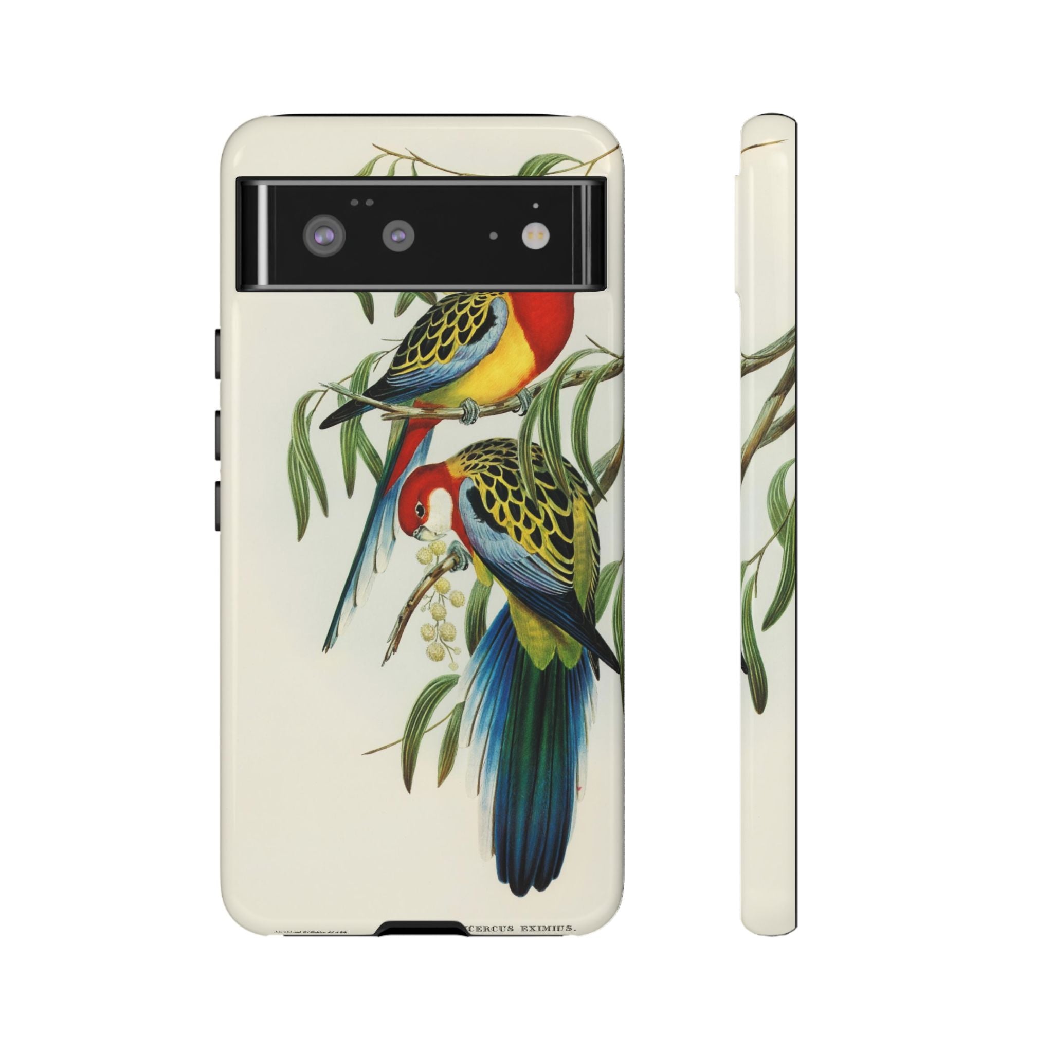 Rosehill Parakeet by Elizabeth Gould - Tough Case
