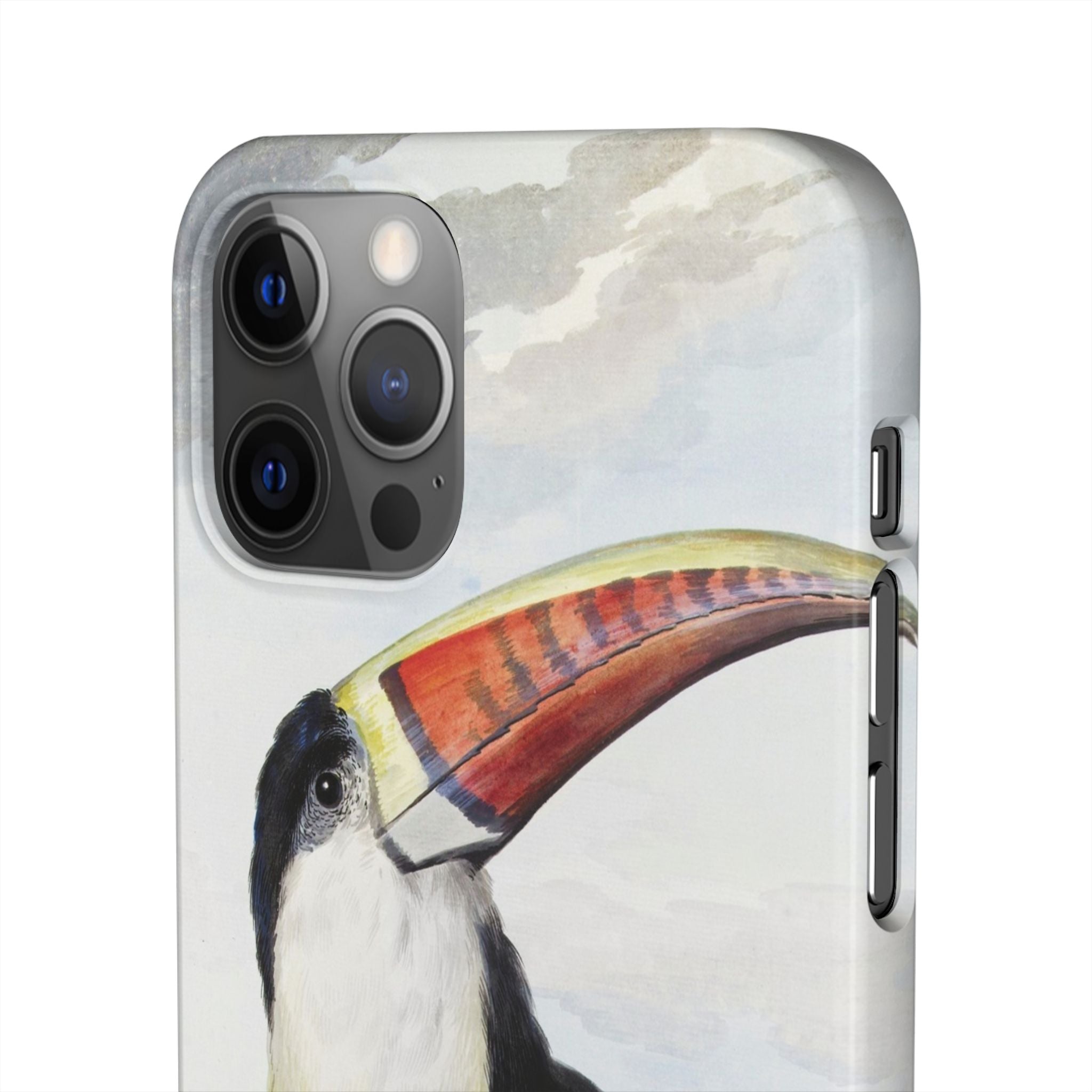 Red-billed Toucan (1748) - Snap Case
