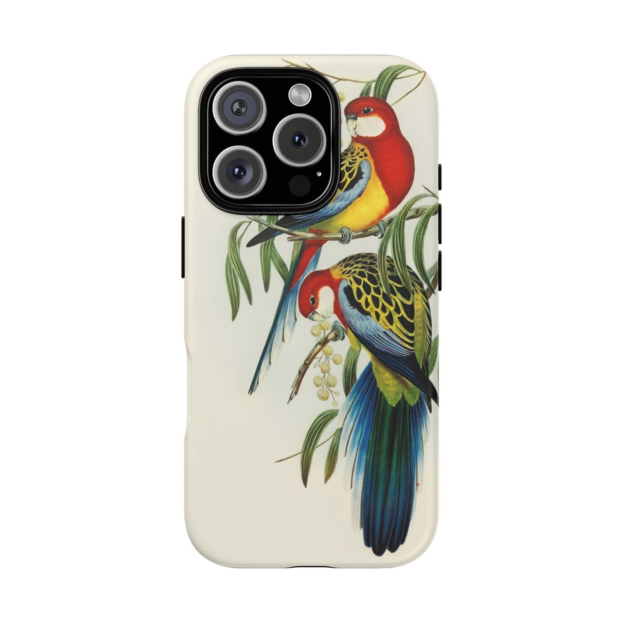 Rosehill Parakeet by Elizabeth Gould - Tough Case