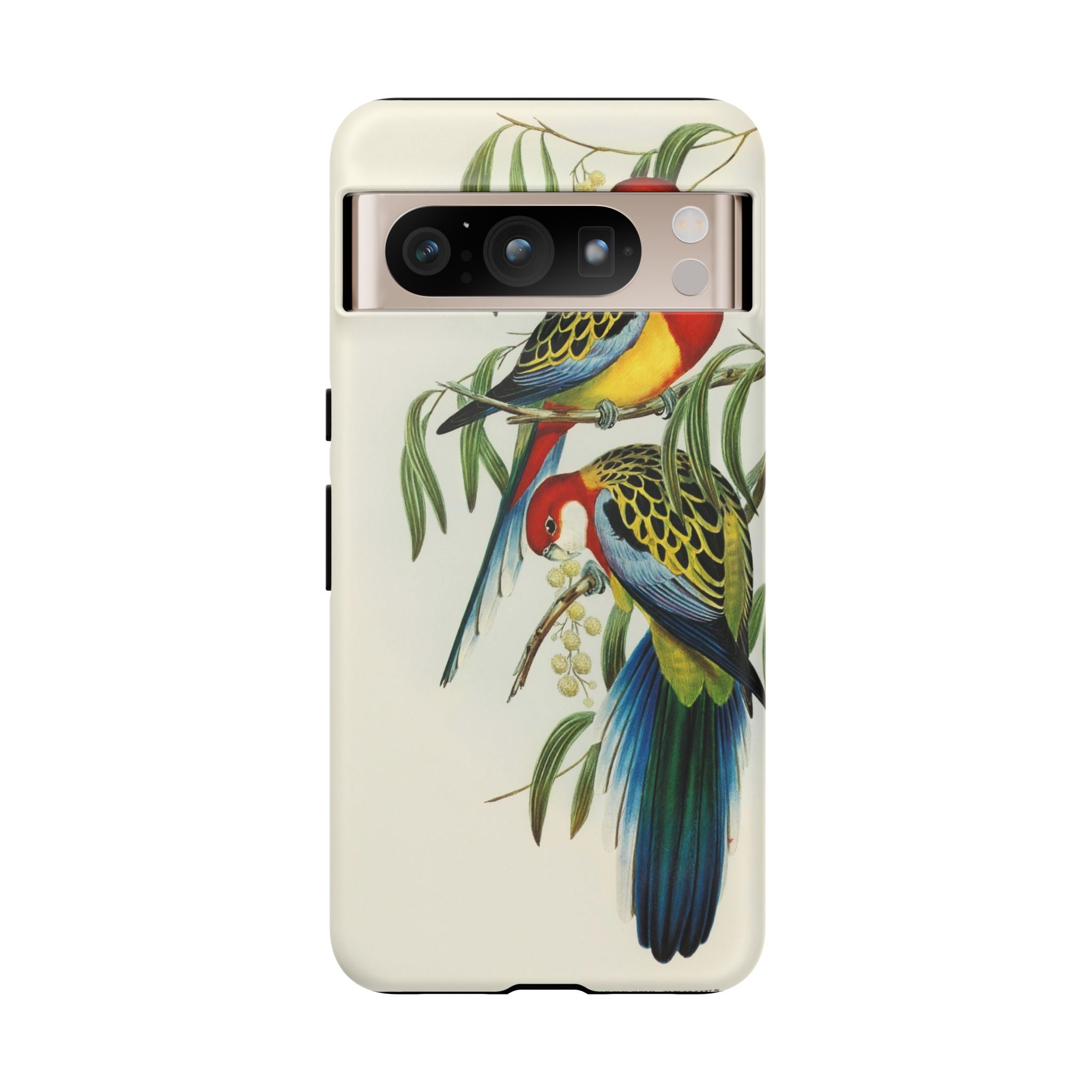 Rosehill Parakeet by Elizabeth Gould - Tough Case
