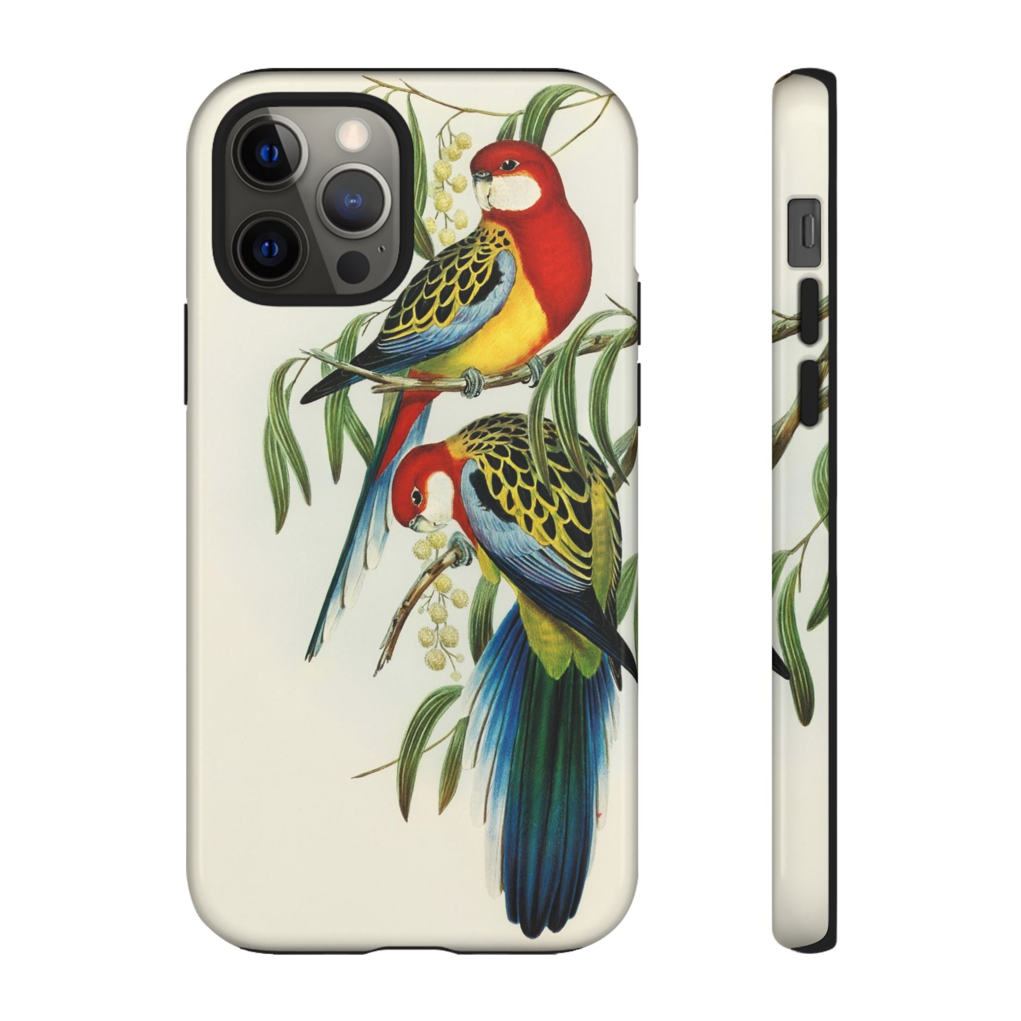 Rosehill Parakeet by Elizabeth Gould - Tough Case
