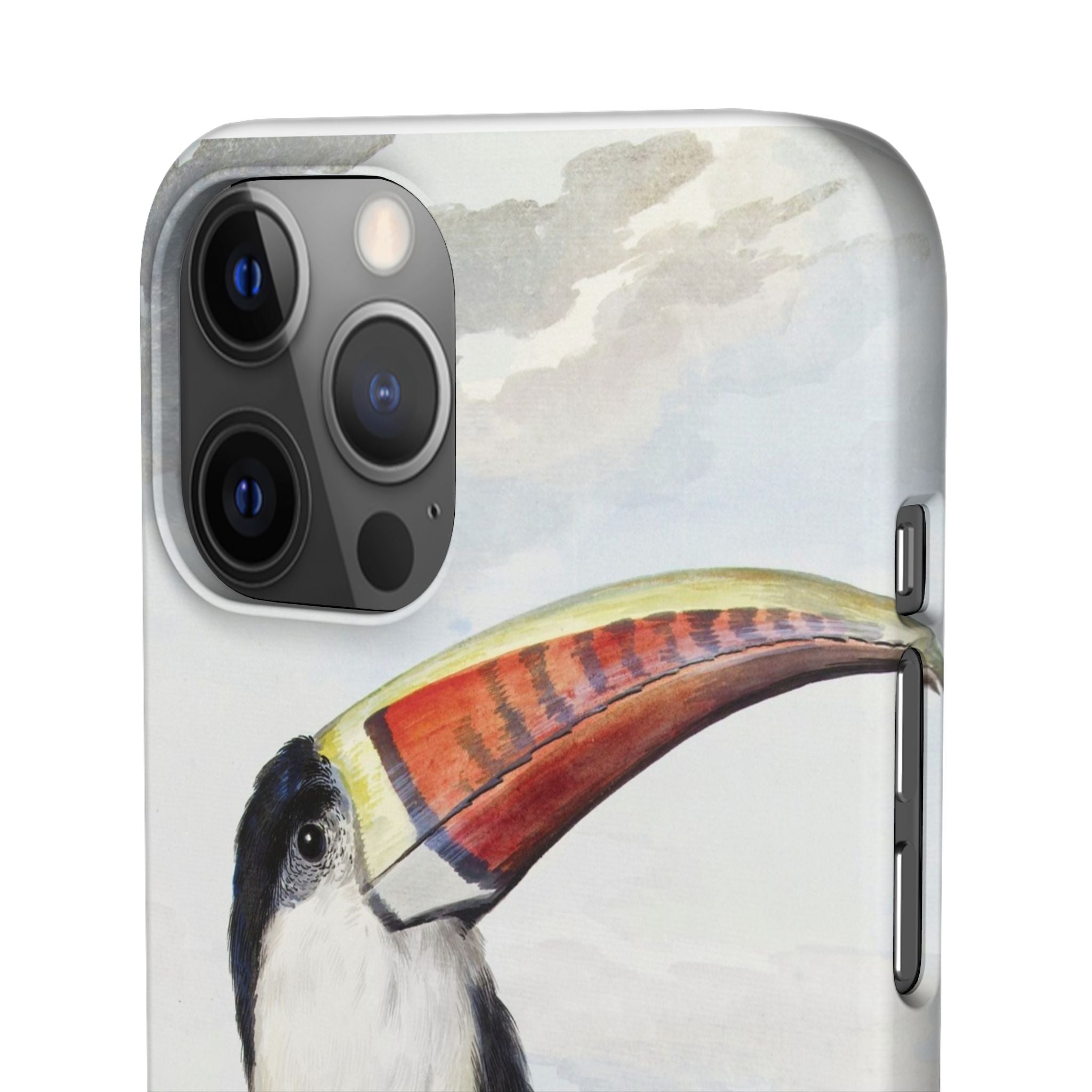 Red-billed Toucan (1748) - Snap Case