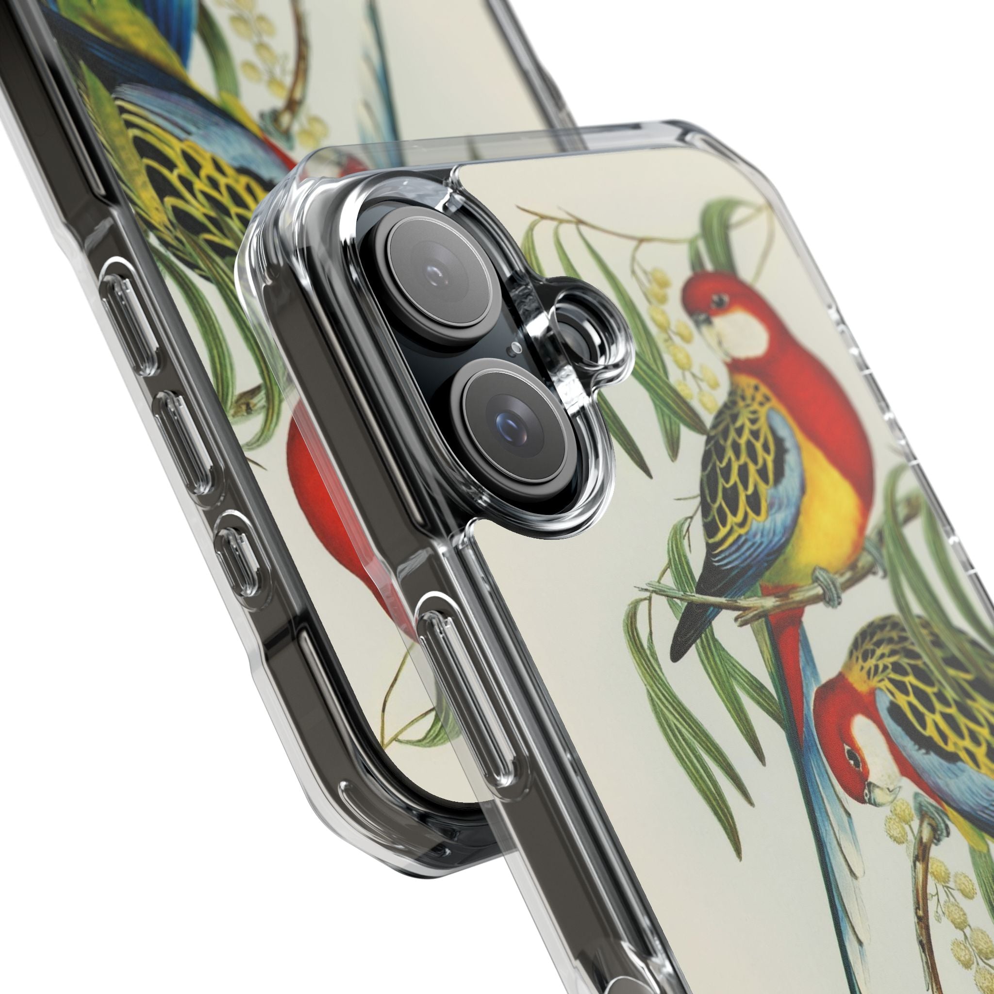 Rosehill Parakeet by Elizabeth Gould - Magnetic Clear Impact Case