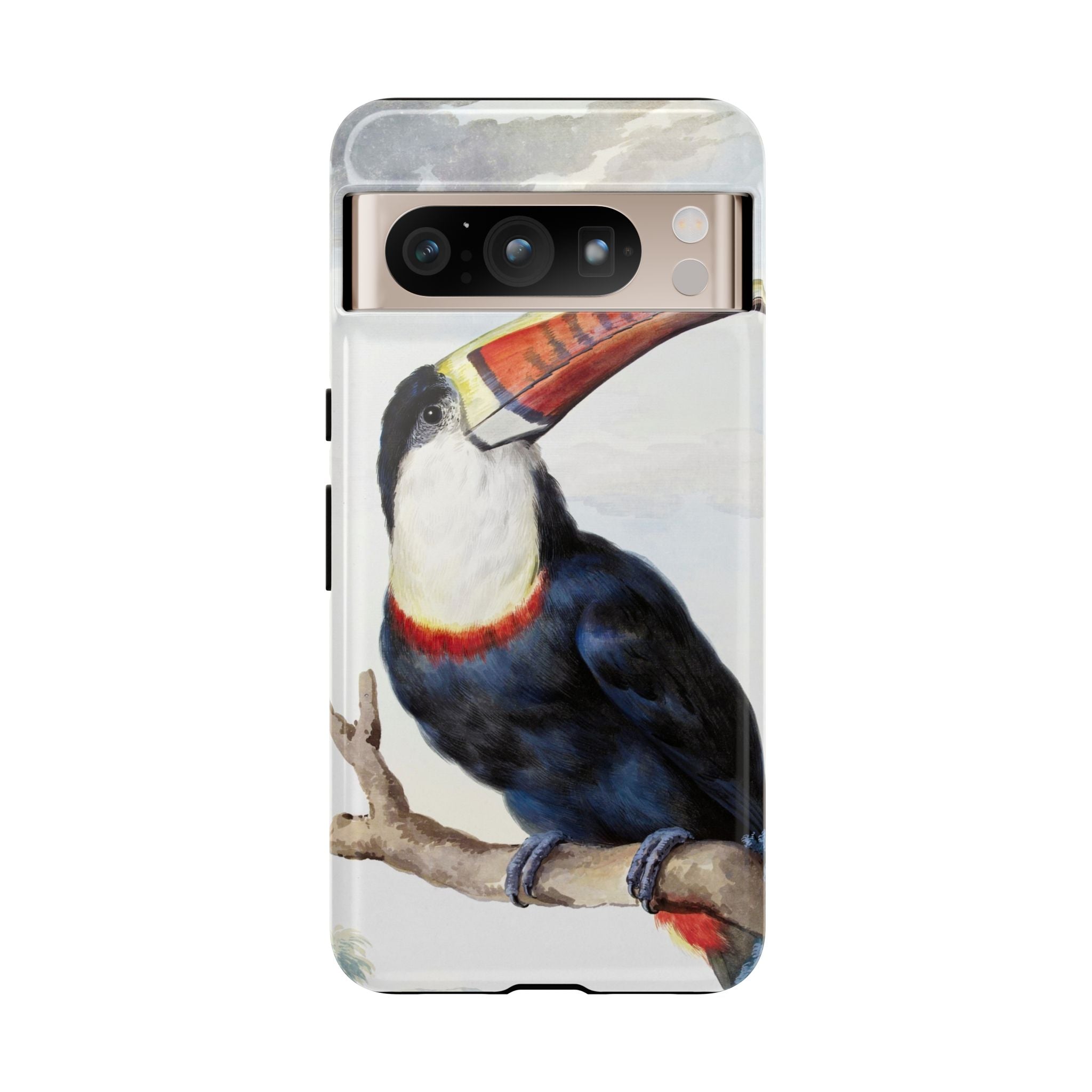 Red-billed Toucan (1748) - Tough Case