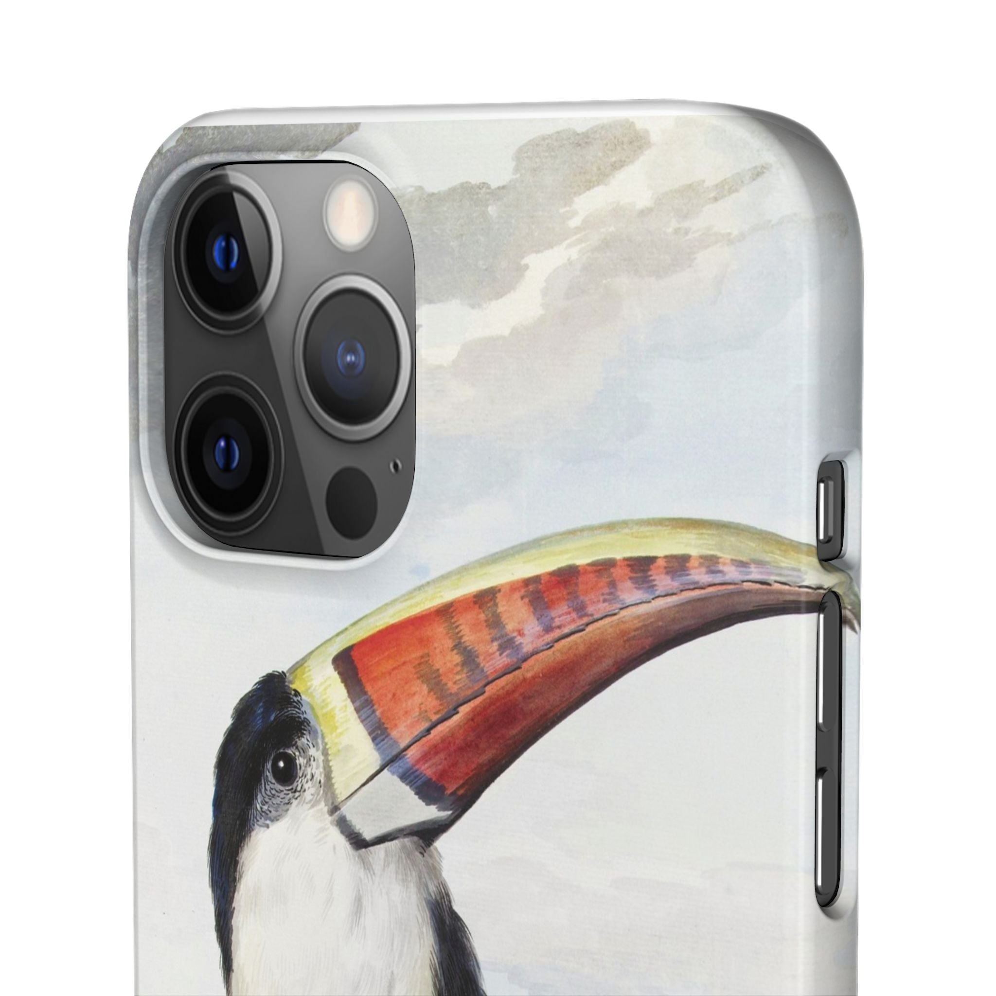 Red-billed Toucan (1748) - Snap Case