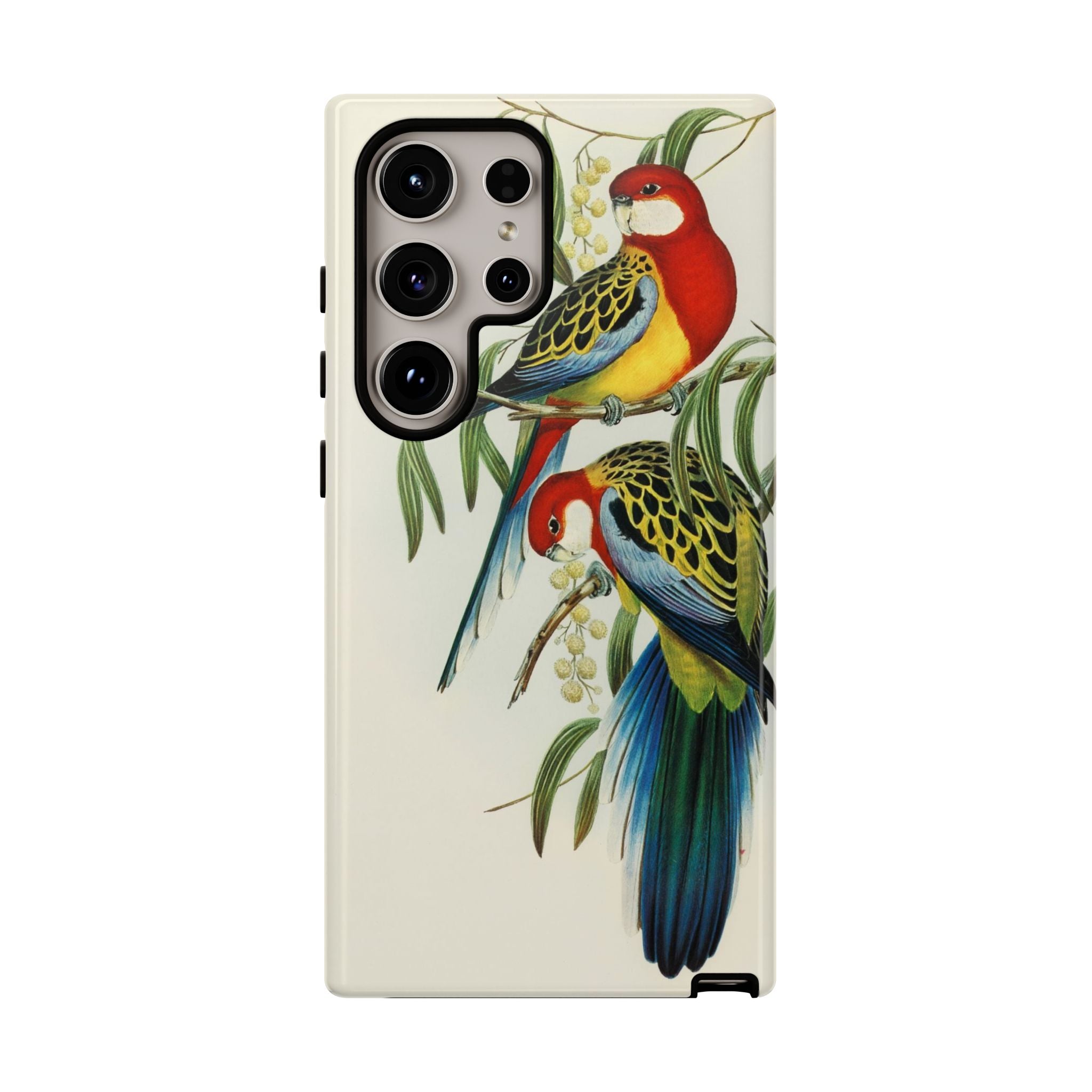 Rosehill Parakeet by Elizabeth Gould - Tough Case