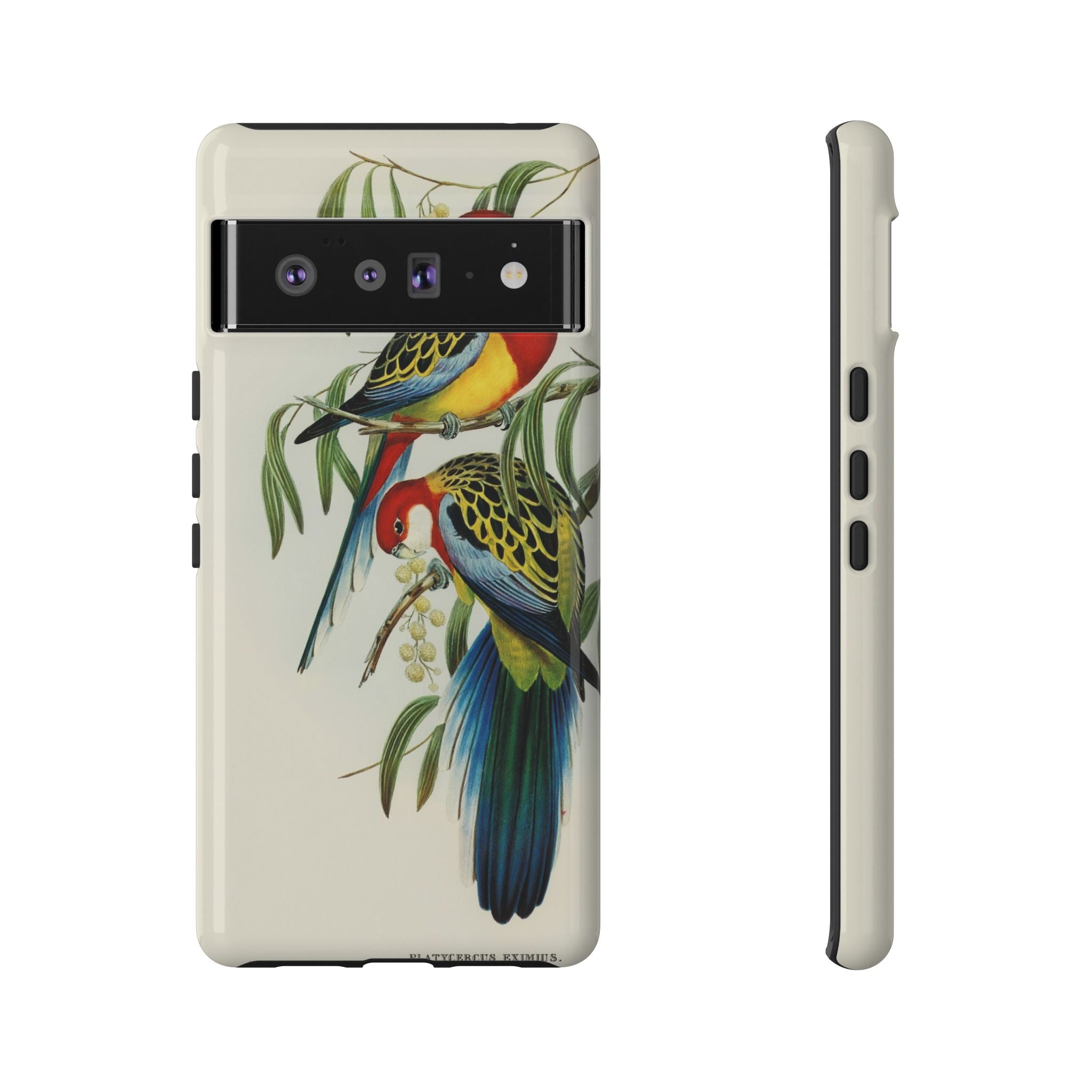 Rosehill Parakeet by Elizabeth Gould - Tough Case