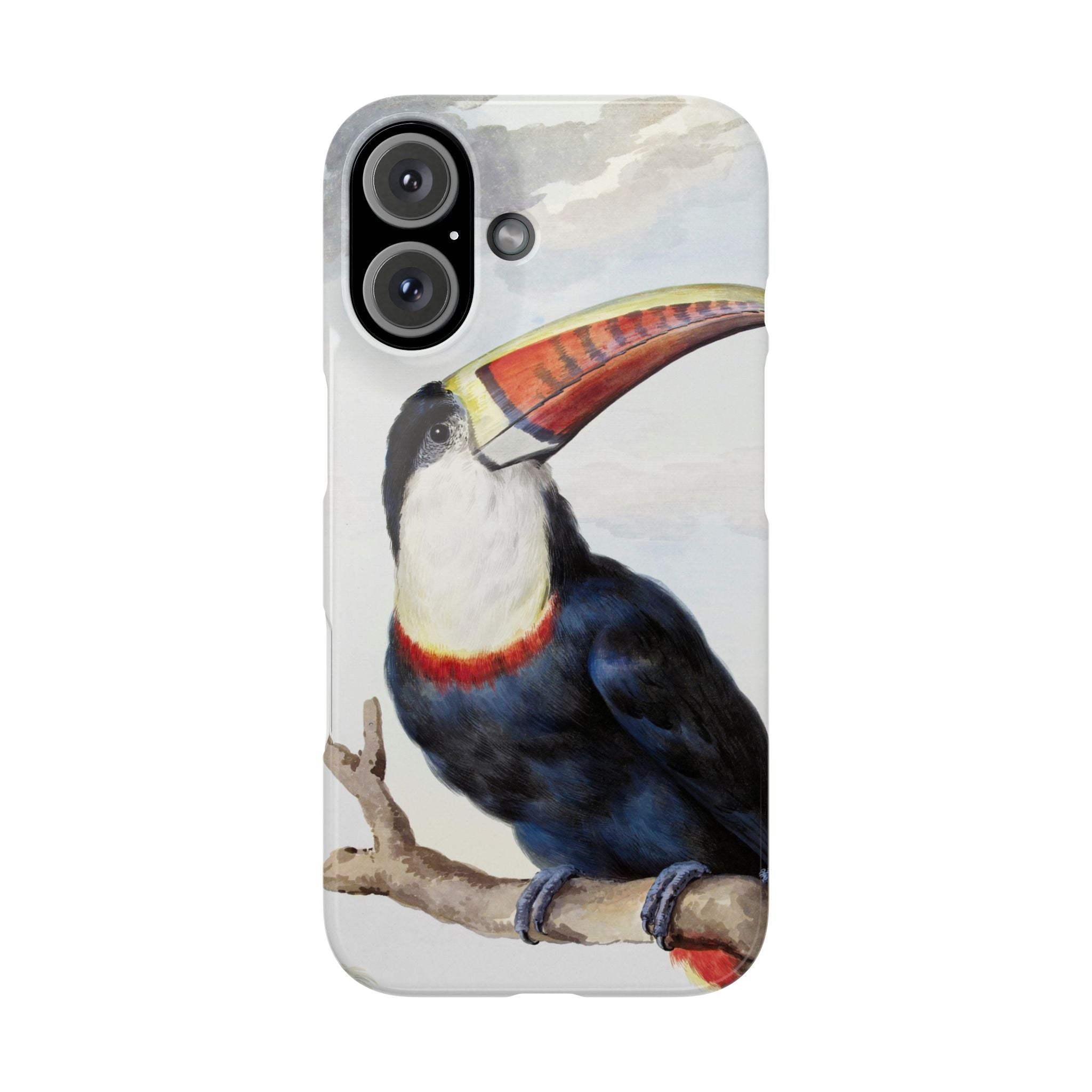 Red-billed Toucan (1748) - Snap Case