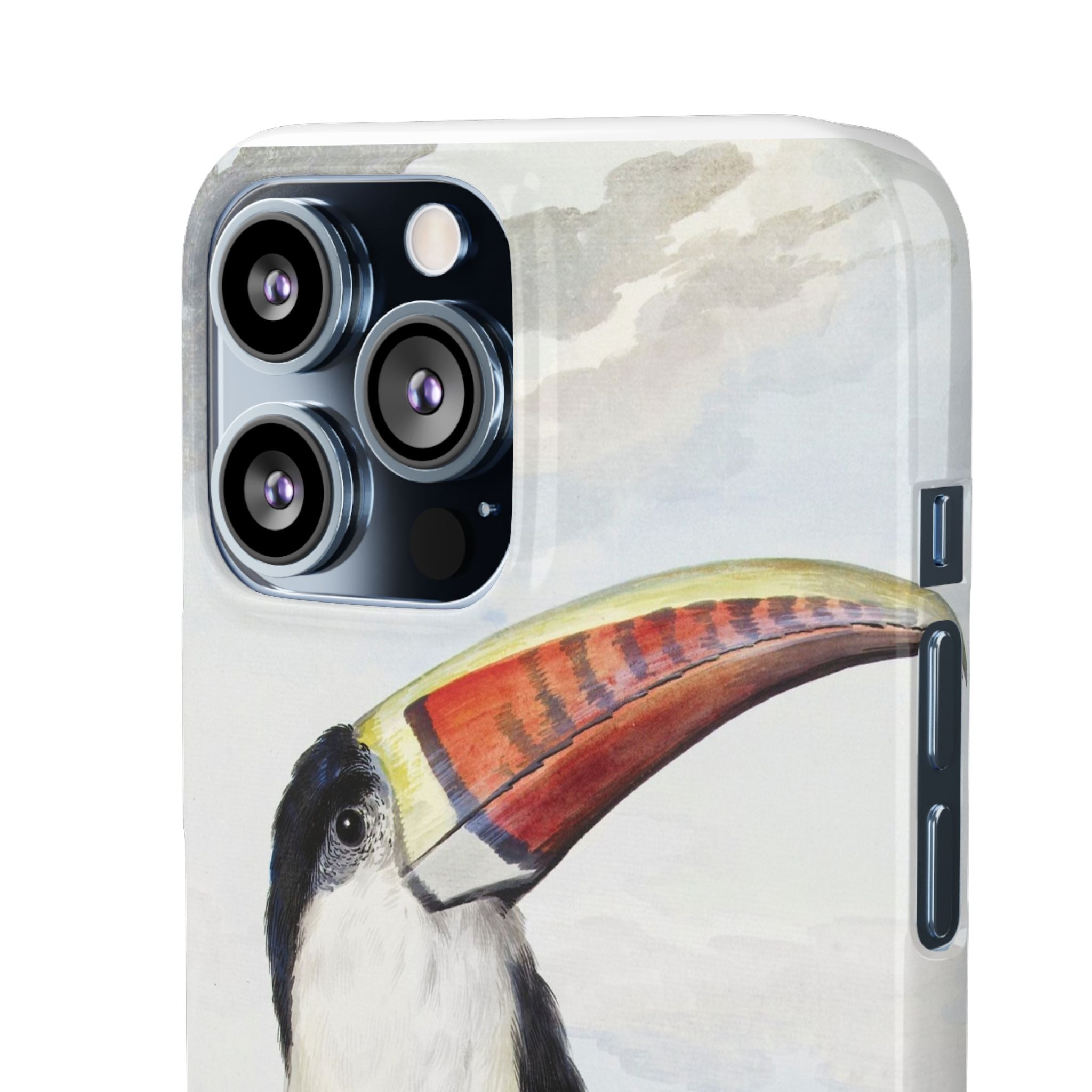 Red-billed Toucan (1748) - Snap Case