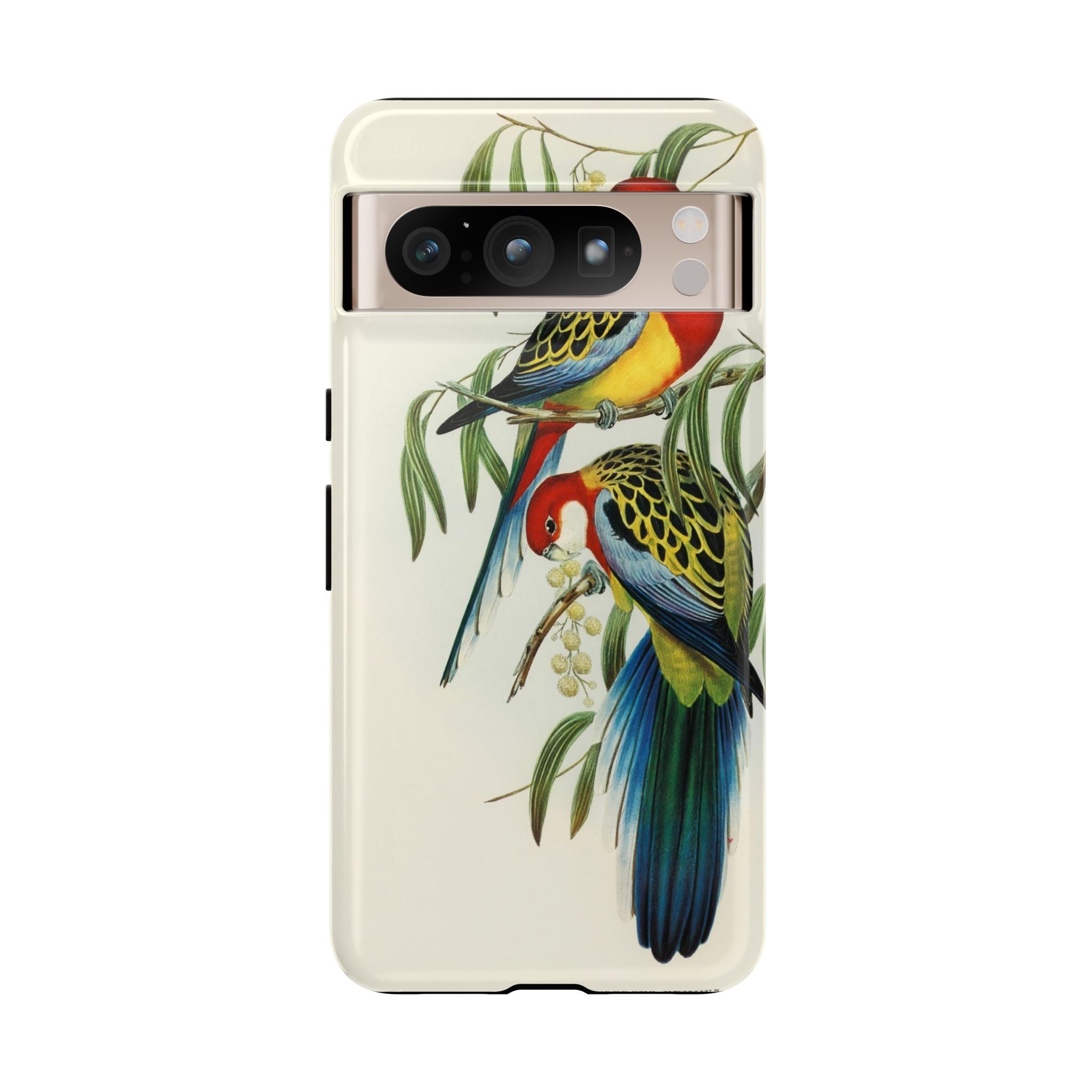 Rosehill Parakeet by Elizabeth Gould - Tough Case