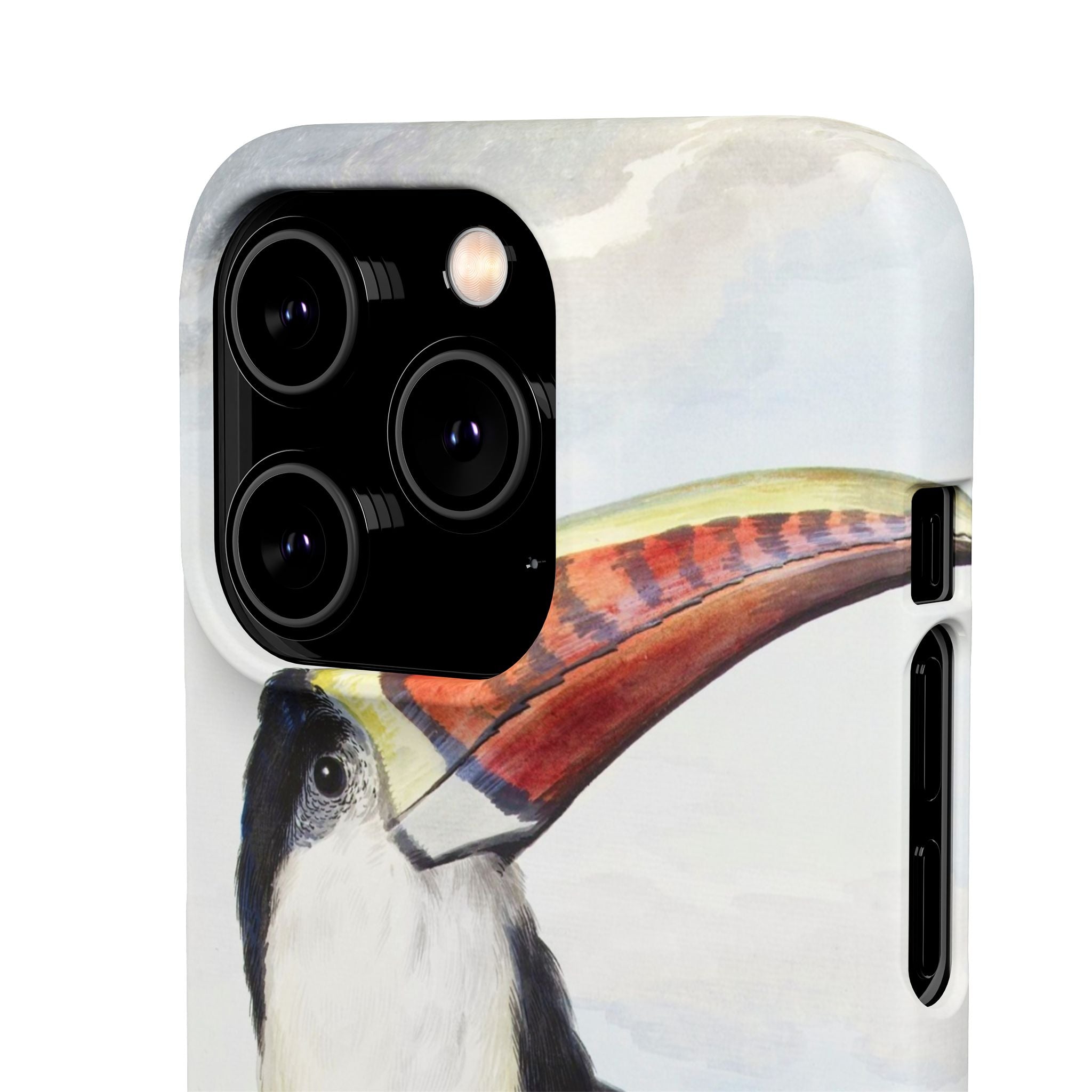 Red-billed Toucan (1748) - Snap Case