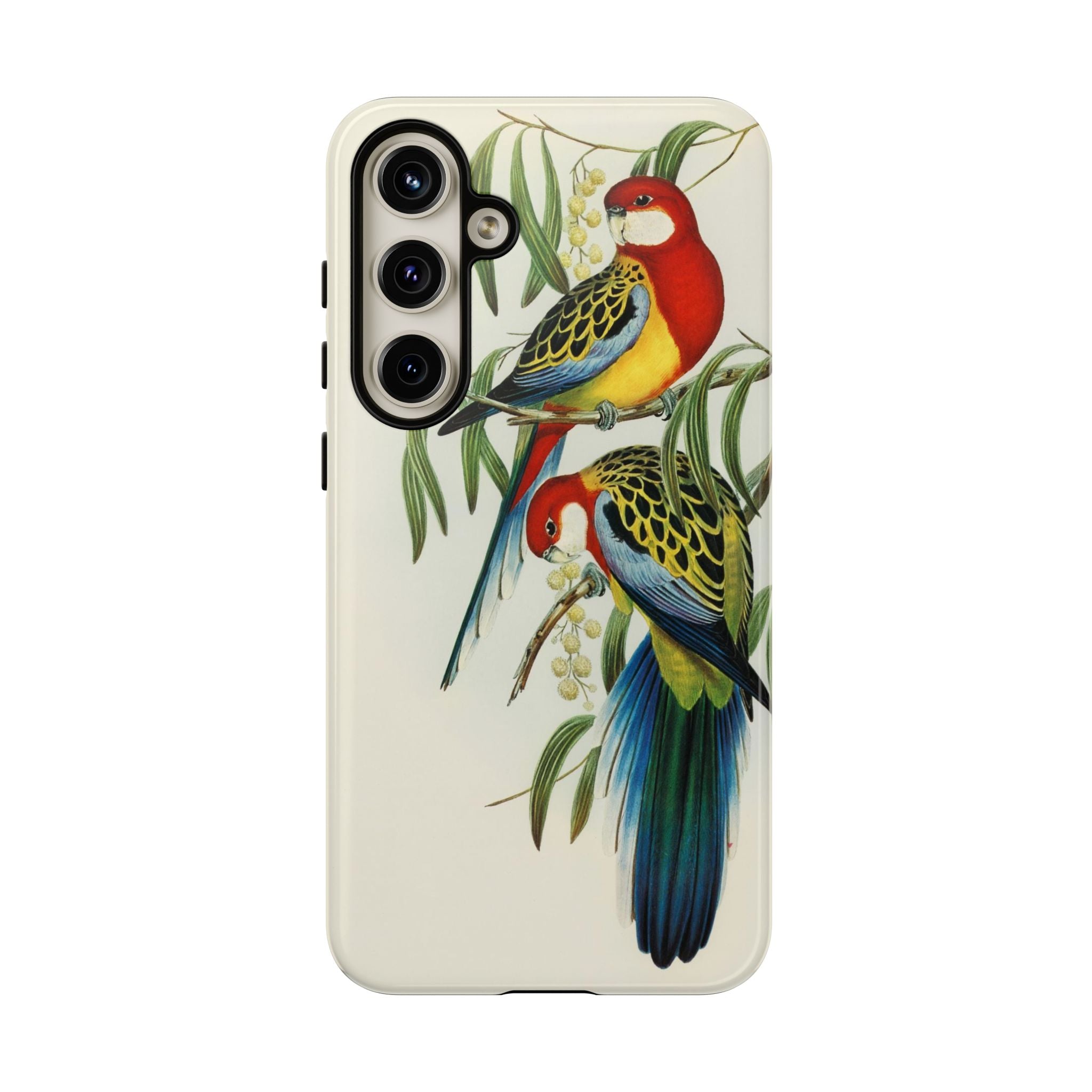Rosehill Parakeet by Elizabeth Gould - Tough Case
