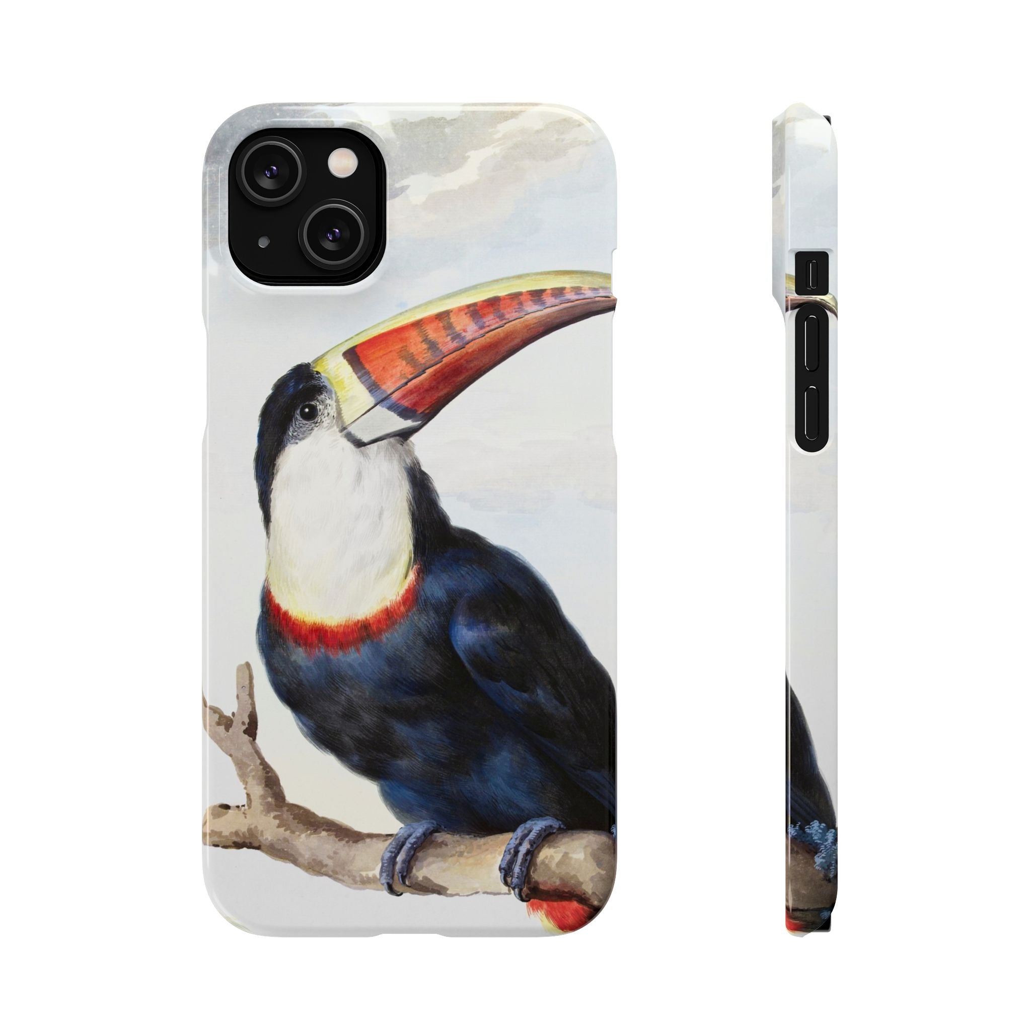 Red-billed Toucan (1748) - Snap Case