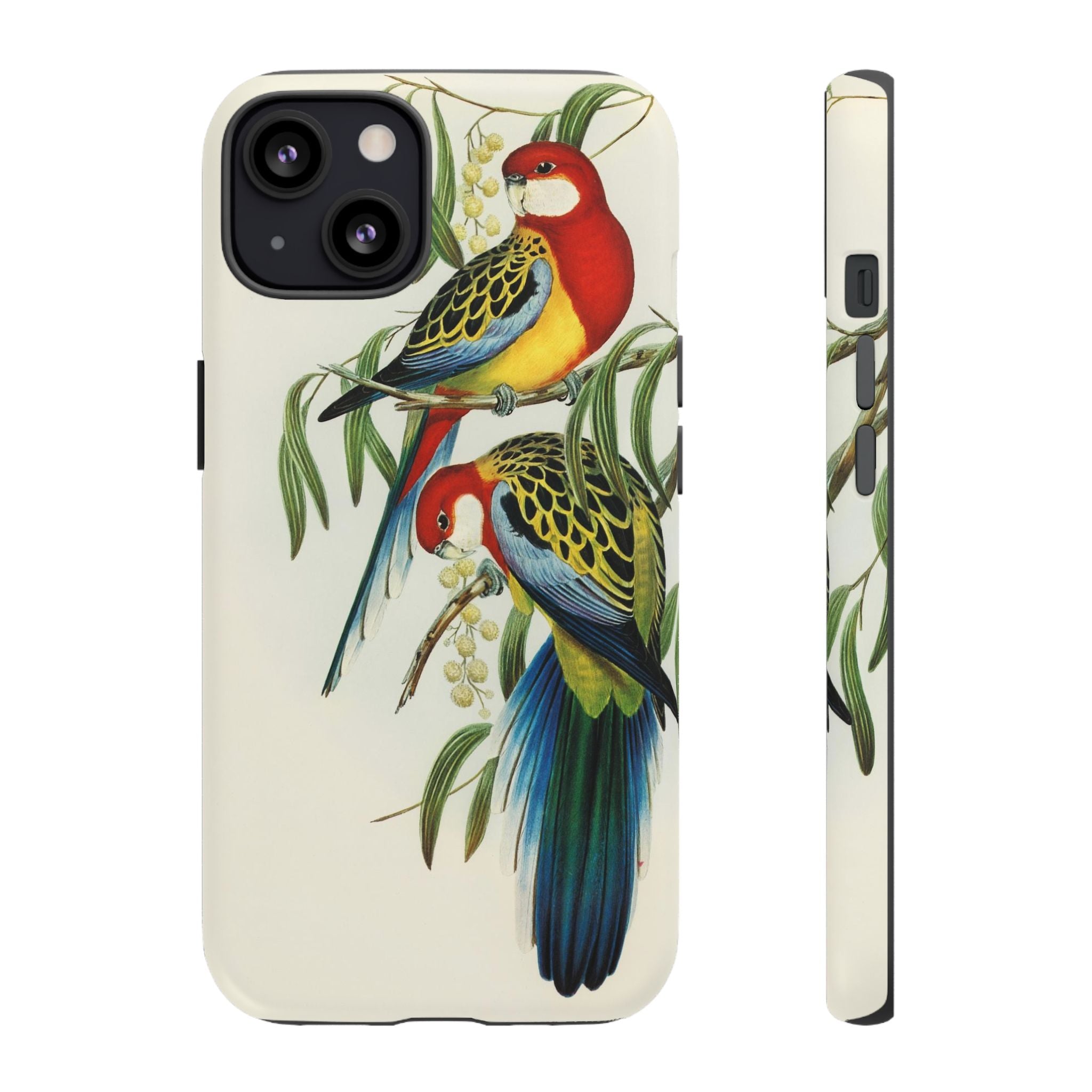 Rosehill Parakeet by Elizabeth Gould - Tough Case