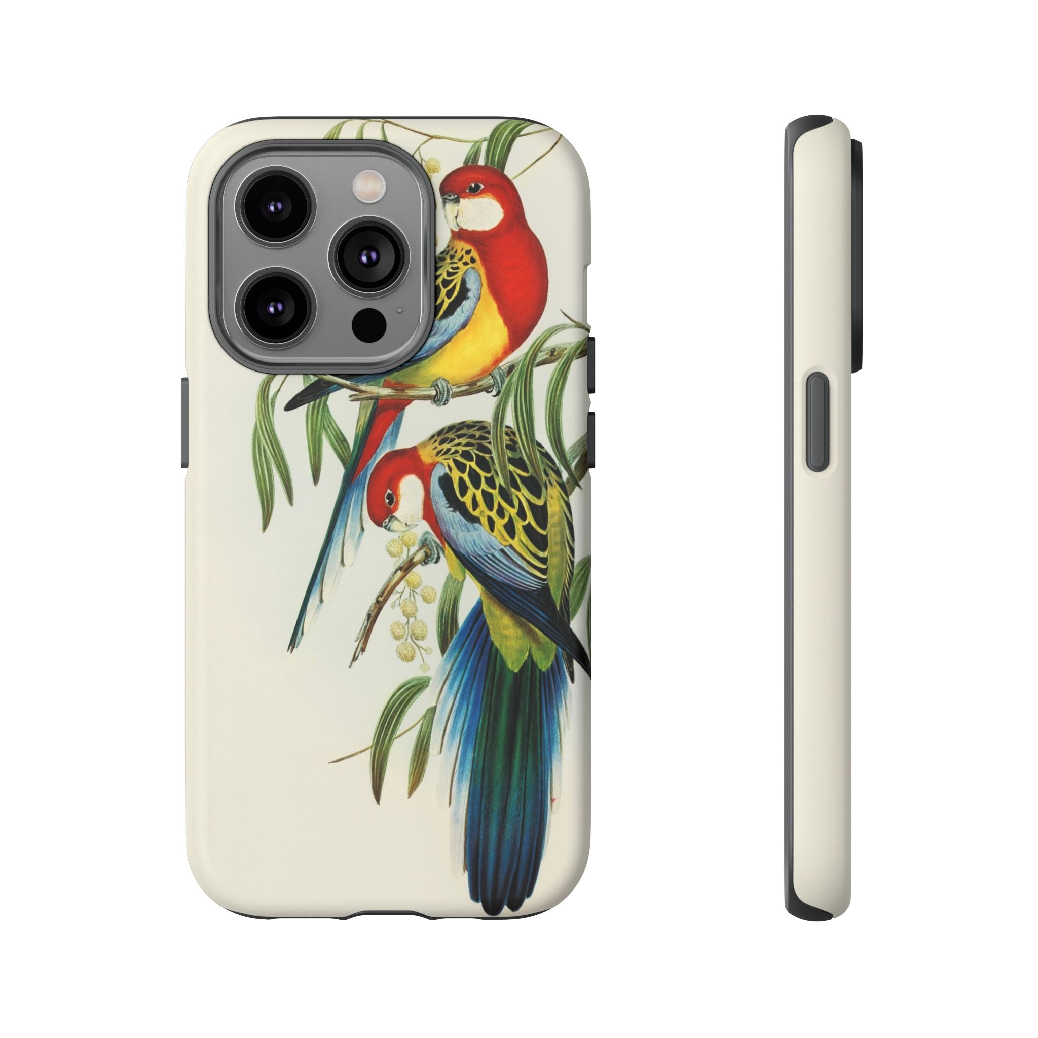 Rosehill Parakeet by Elizabeth Gould - Tough Case