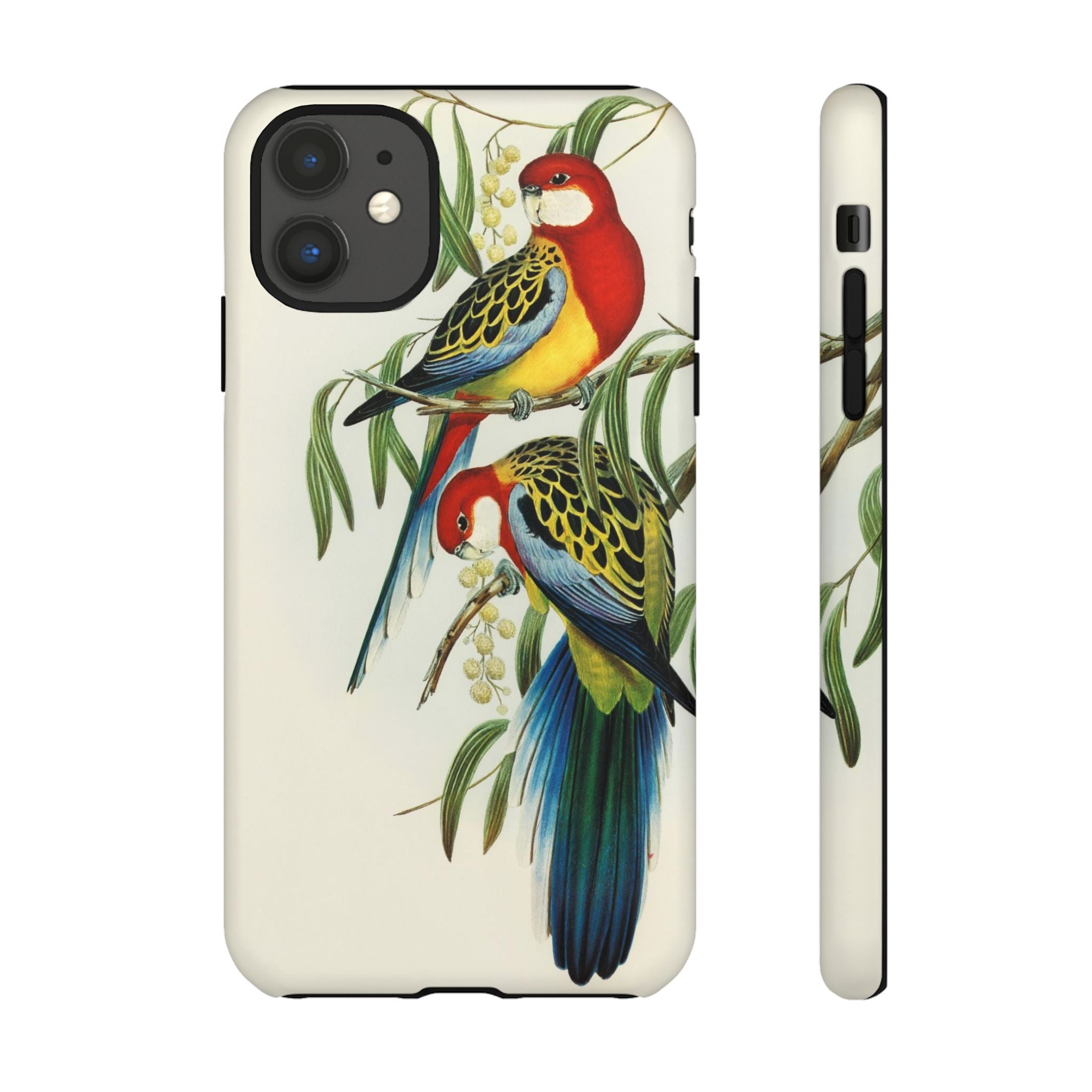 Rosehill Parakeet by Elizabeth Gould - Tough Case