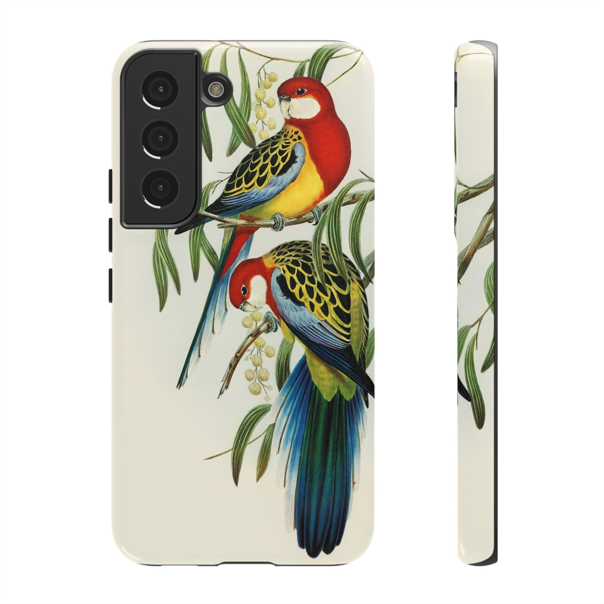 Rosehill Parakeet by Elizabeth Gould - Tough Case