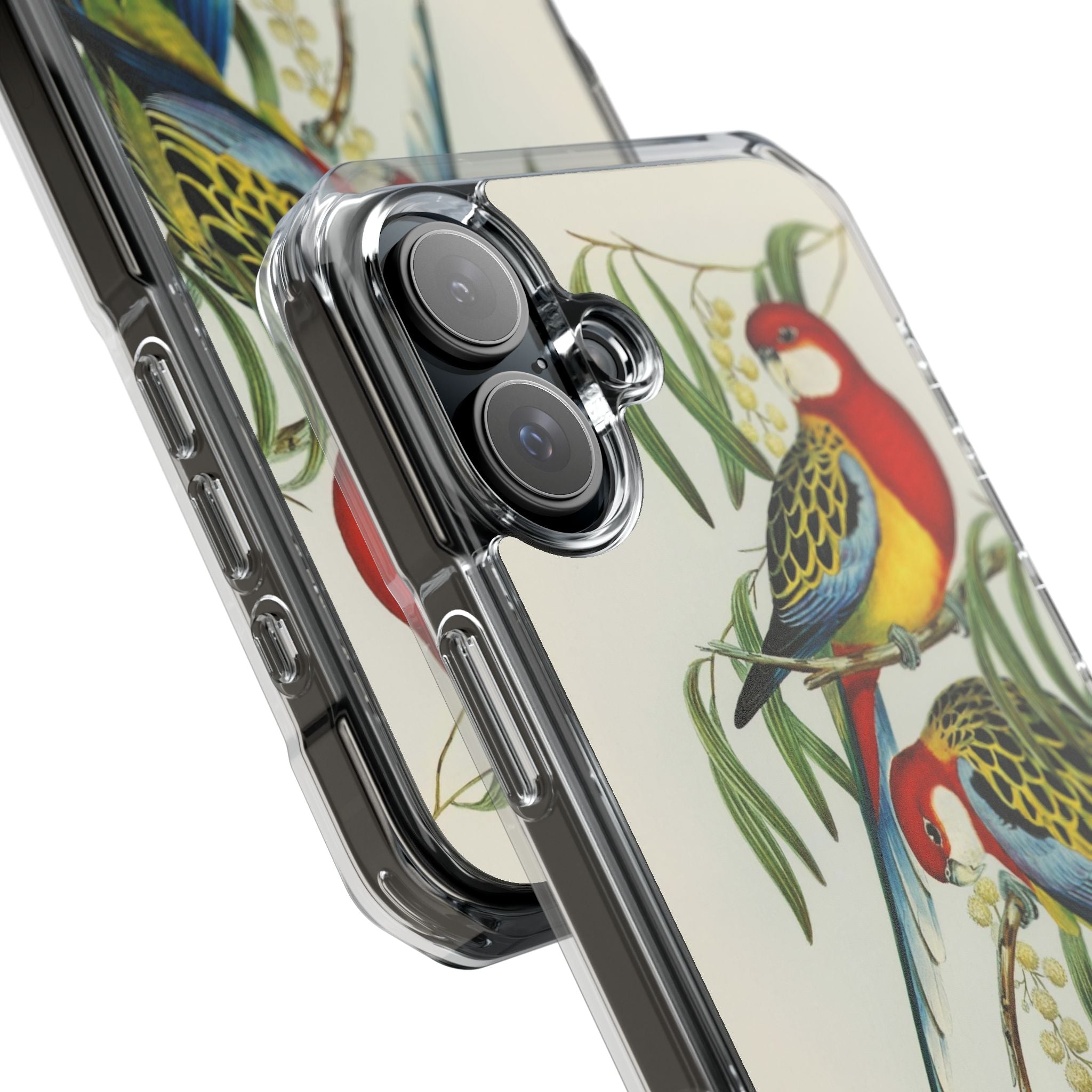 Rosehill Parakeet by Elizabeth Gould - Magnetic Clear Impact Case