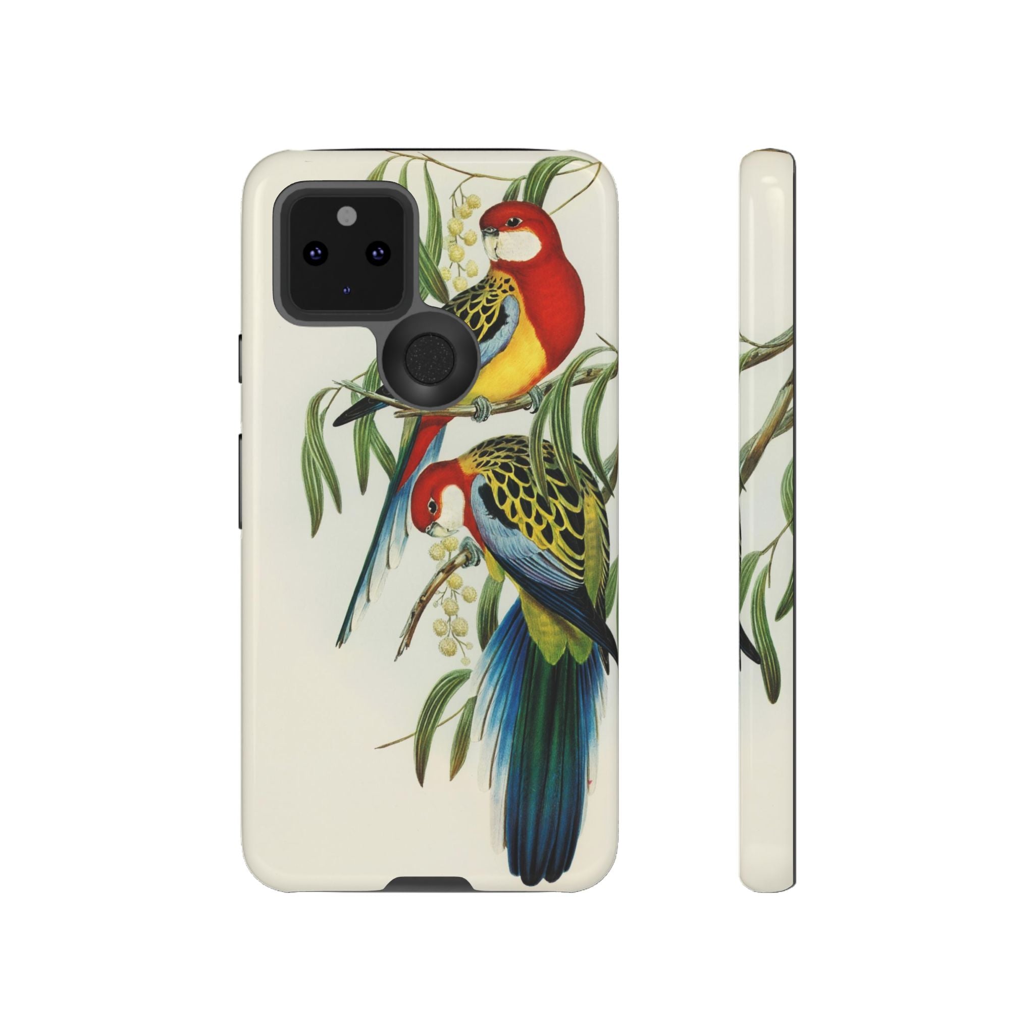Rosehill Parakeet by Elizabeth Gould - Tough Case