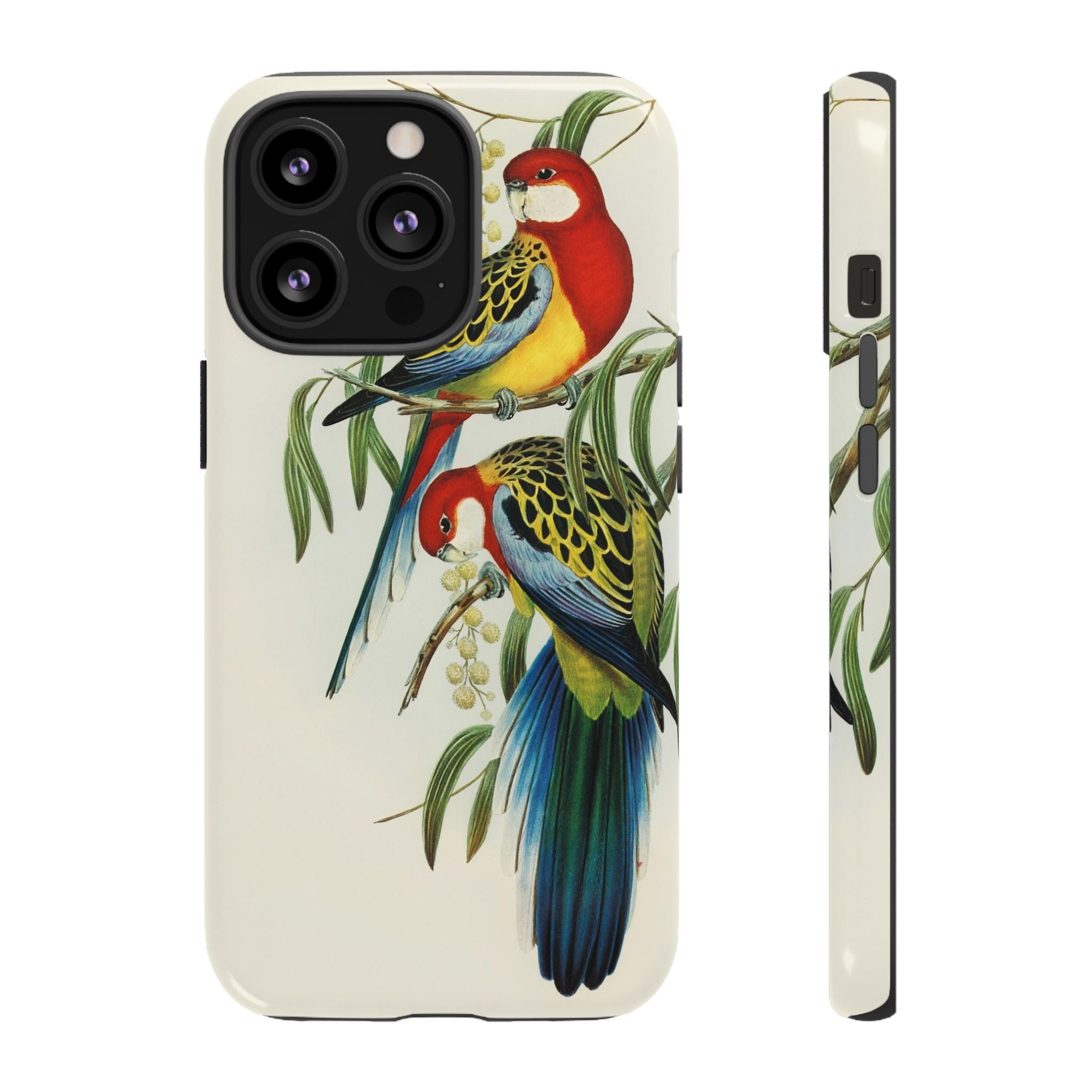 Rosehill Parakeet by Elizabeth Gould - Tough Case