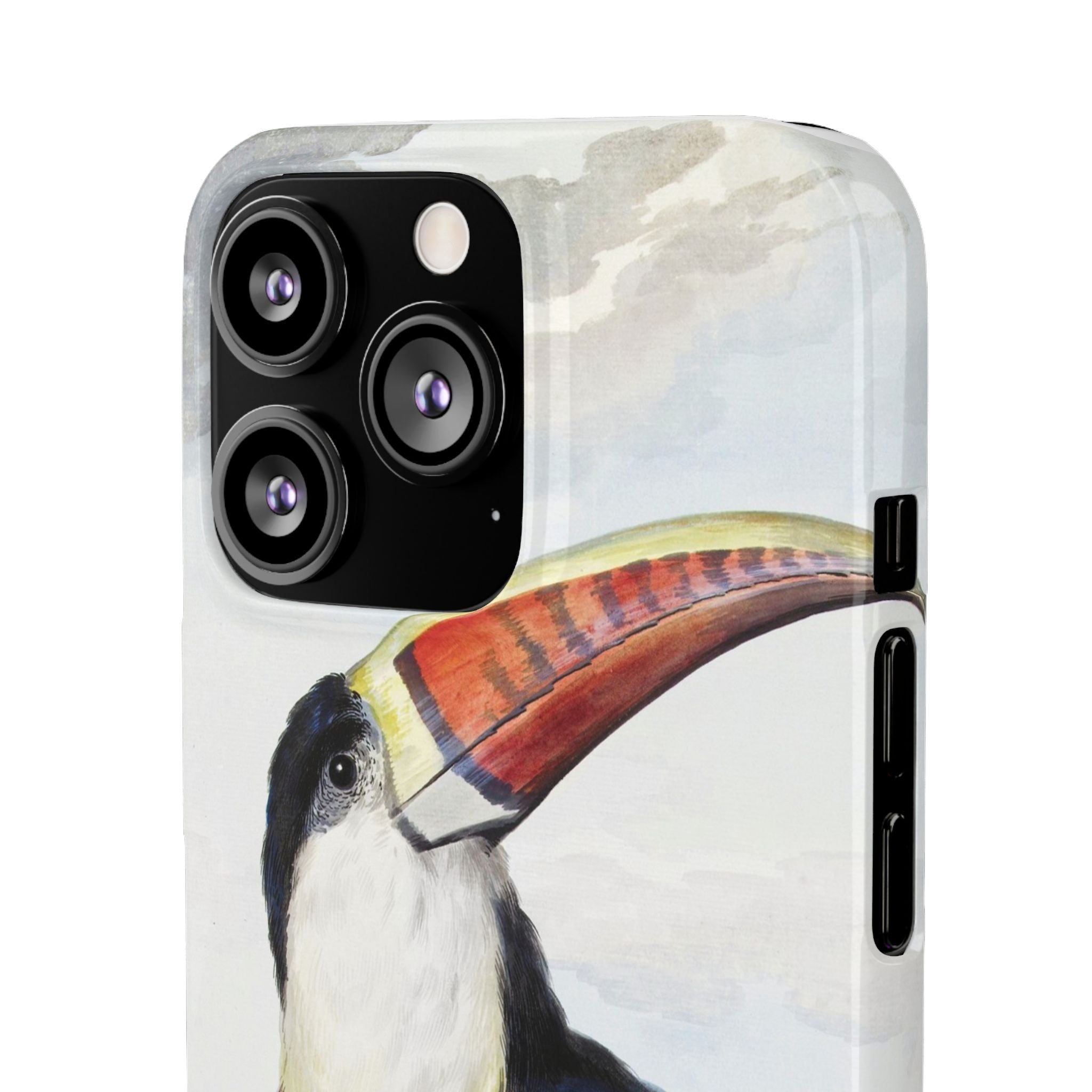 Red-billed Toucan (1748) - Snap Case