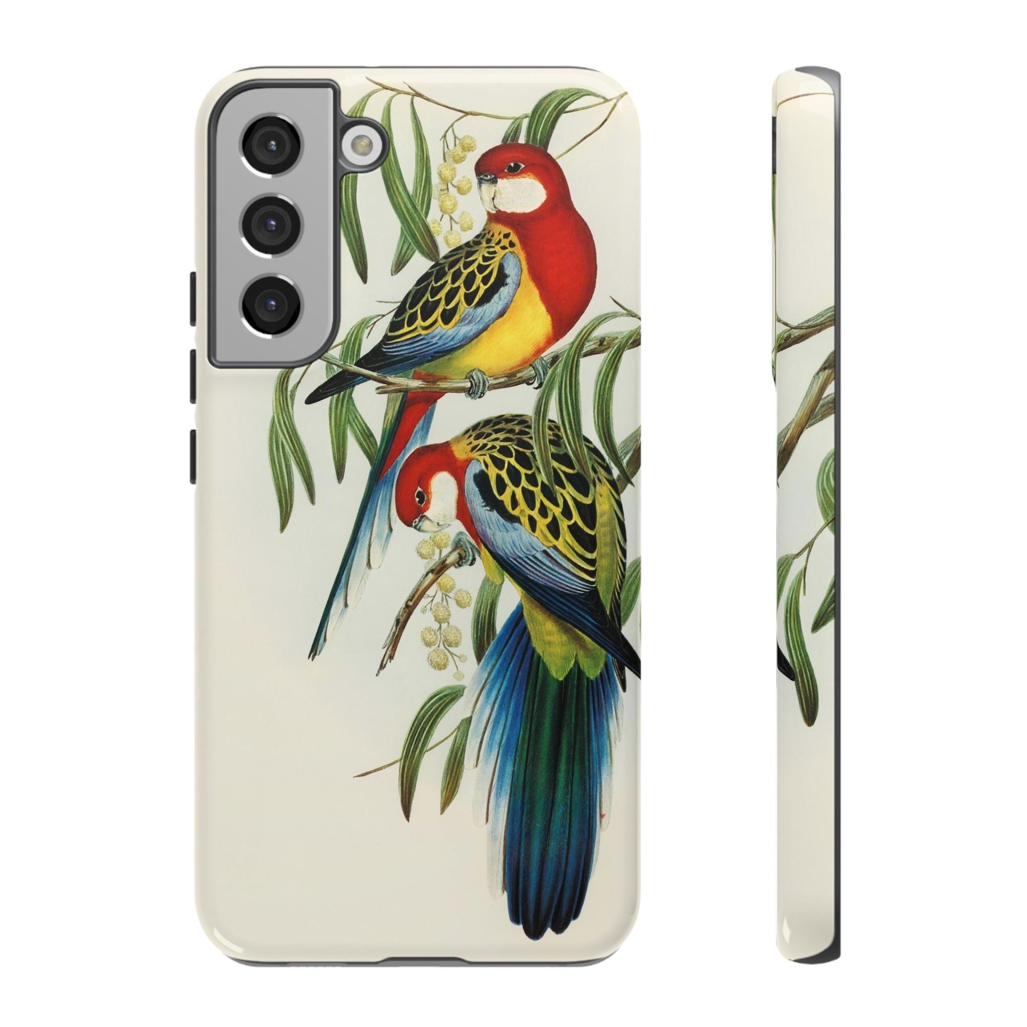 Rosehill Parakeet by Elizabeth Gould - Tough Case