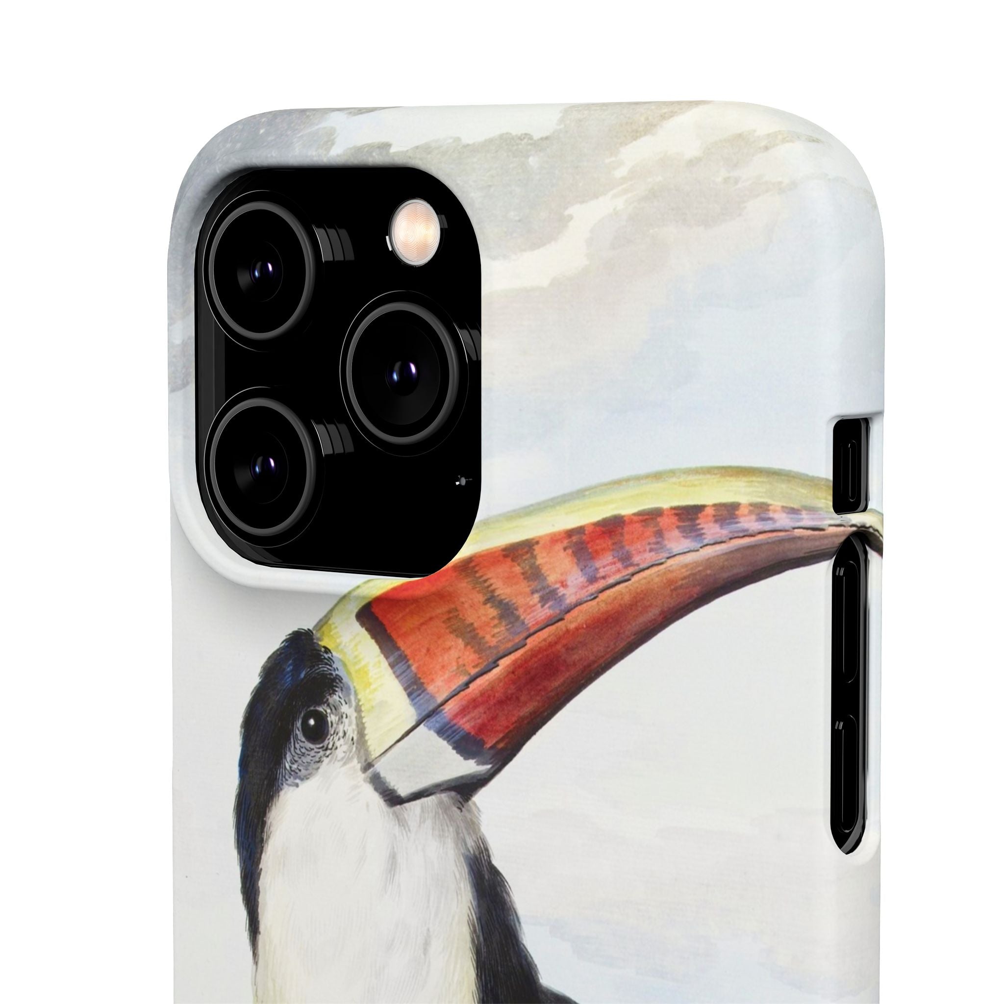 Red-billed Toucan (1748) - Snap Case