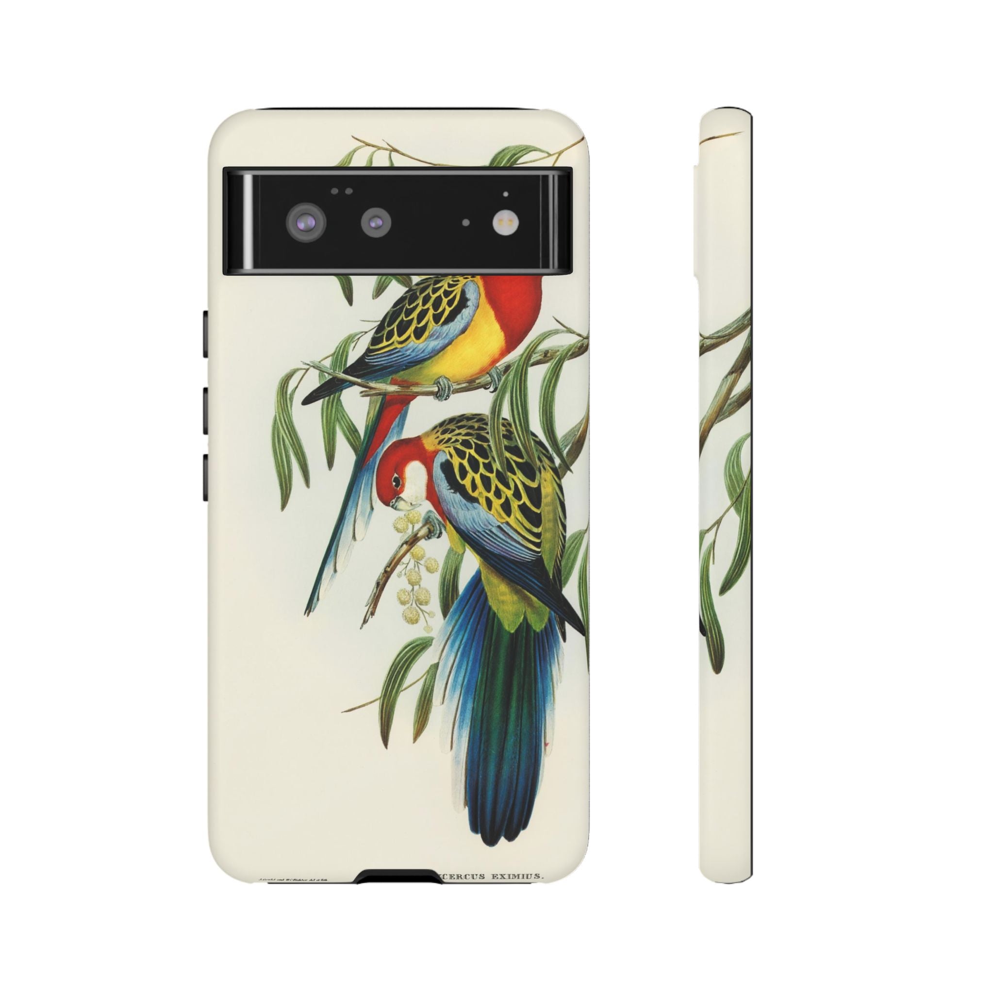 Rosehill Parakeet by Elizabeth Gould - Tough Case