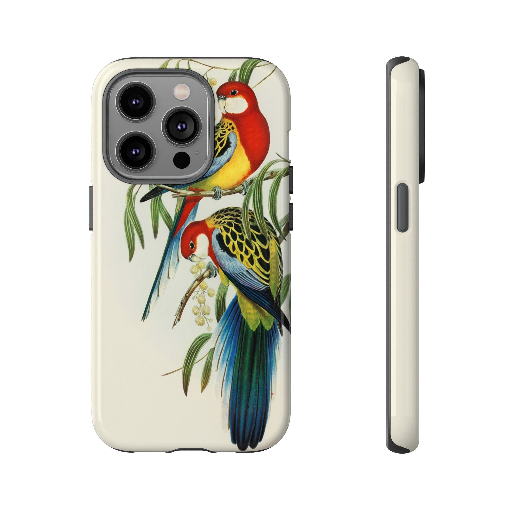 Rosehill Parakeet by Elizabeth Gould - Tough Case