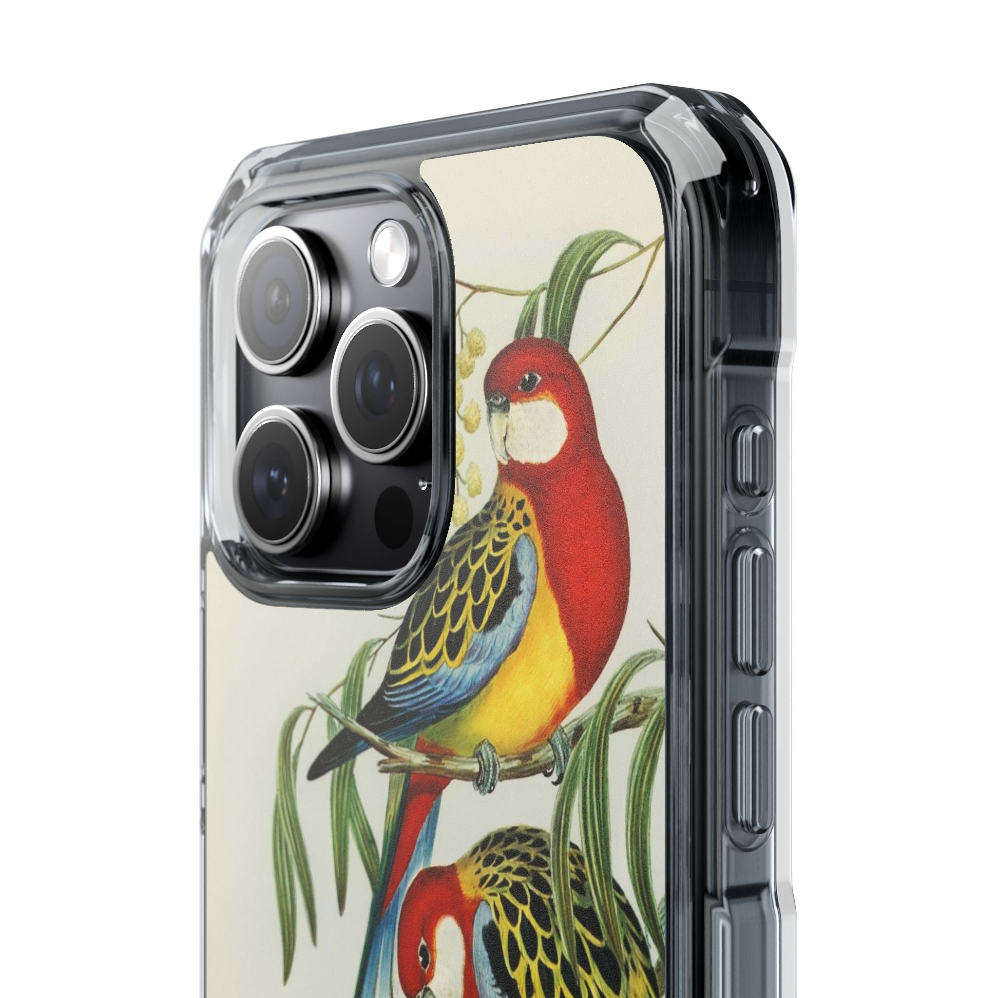Rosehill Parakeet by Elizabeth Gould - Magnetic Clear Impact Case
