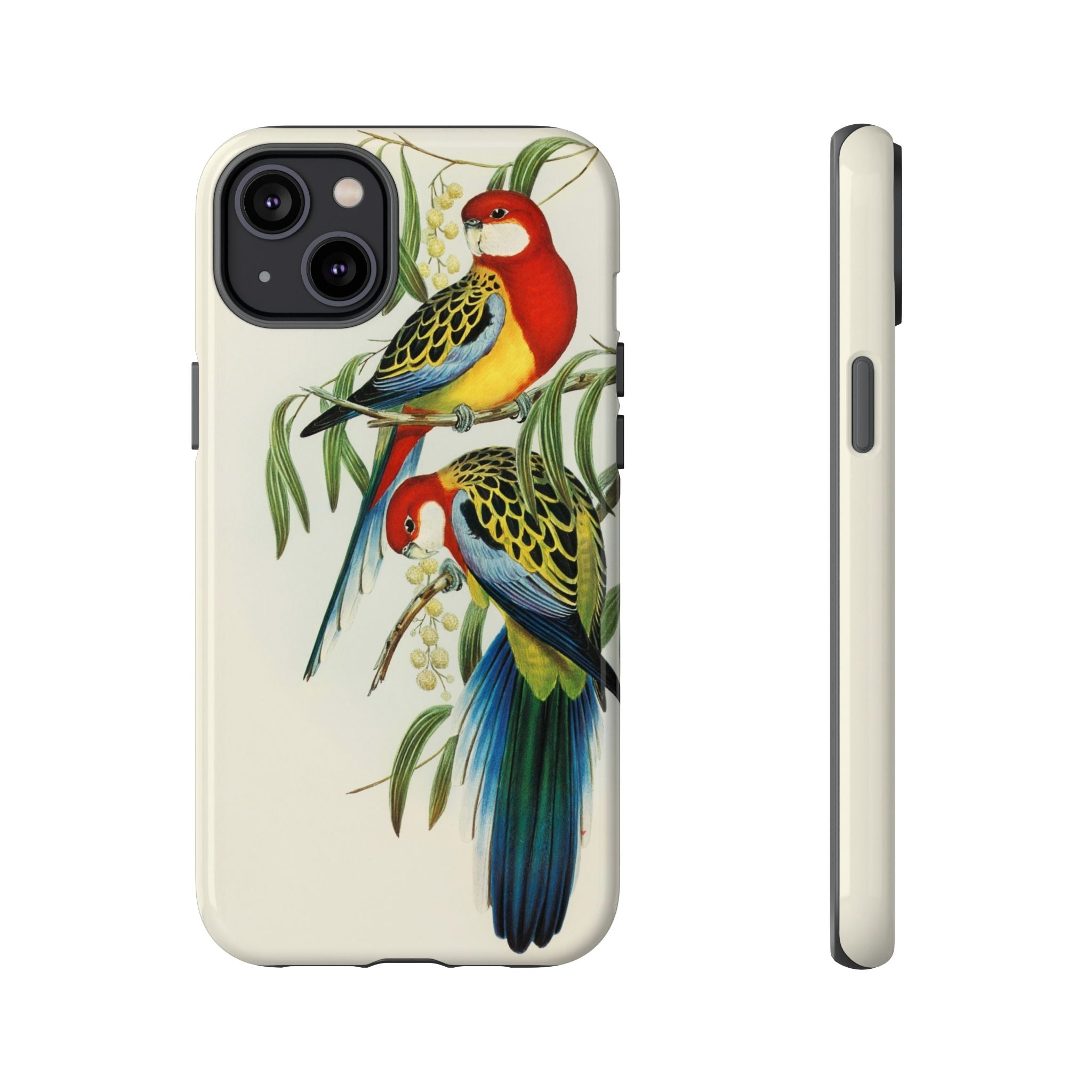 Rosehill Parakeet by Elizabeth Gould - Tough Case