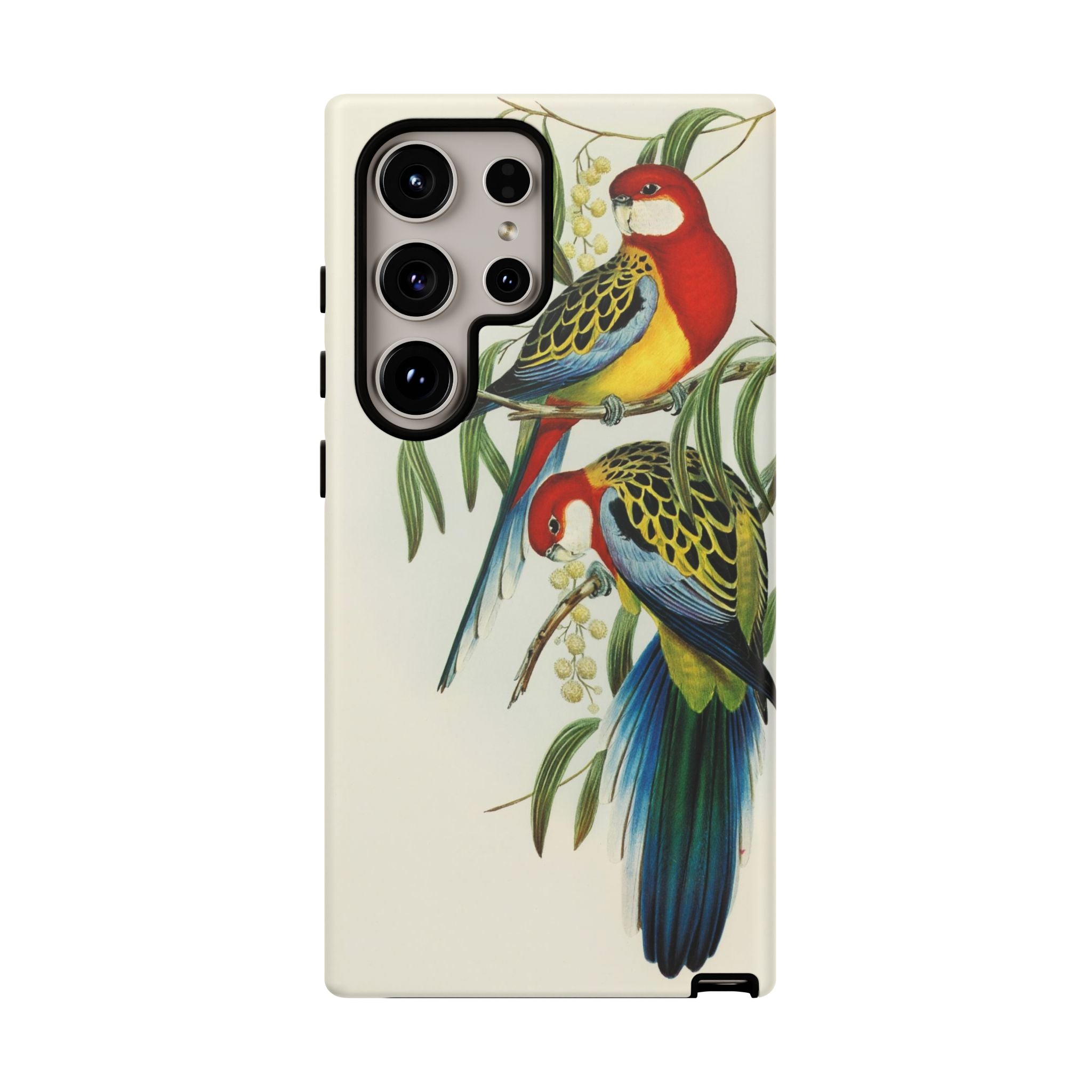 Rosehill Parakeet by Elizabeth Gould - Tough Case
