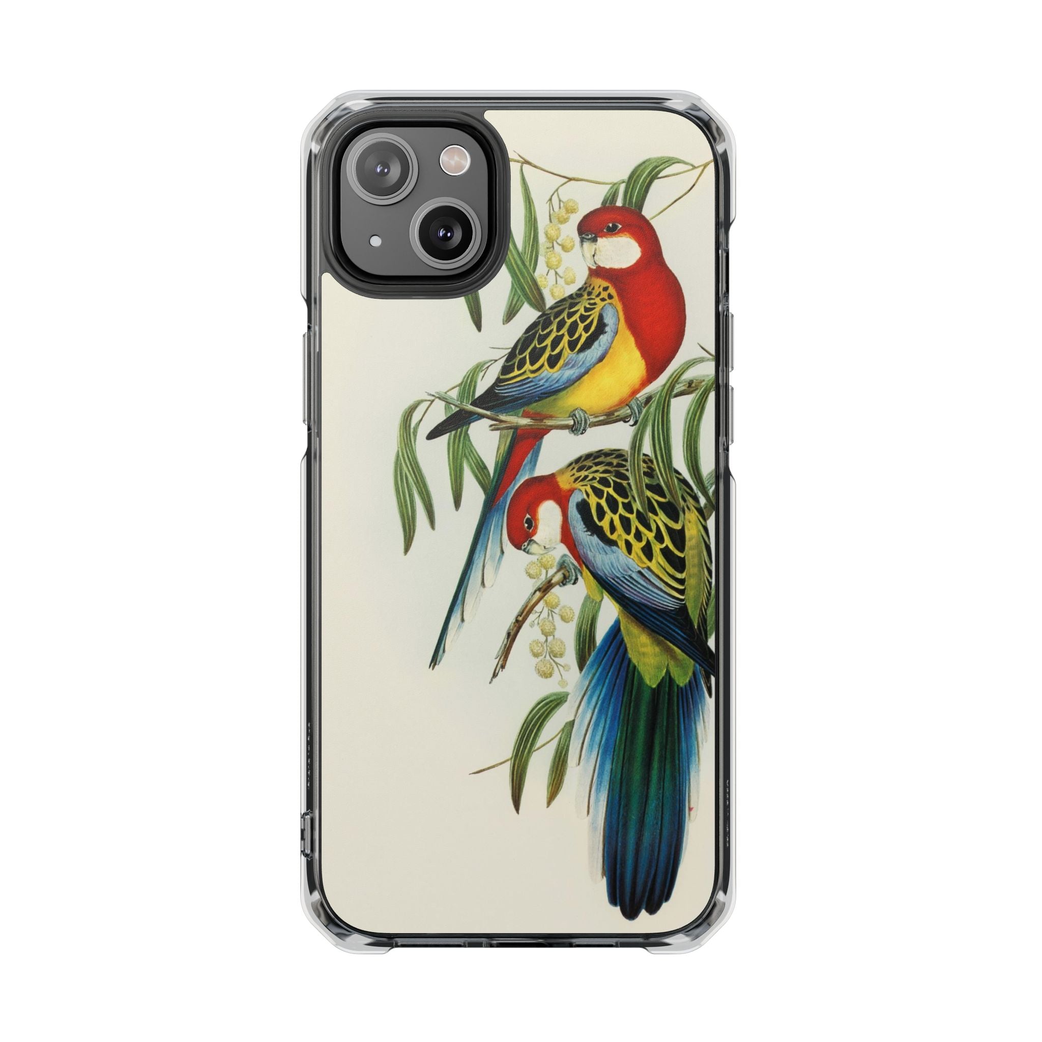 Rosehill Parakeet by Elizabeth Gould - Magnetic Clear Impact Case