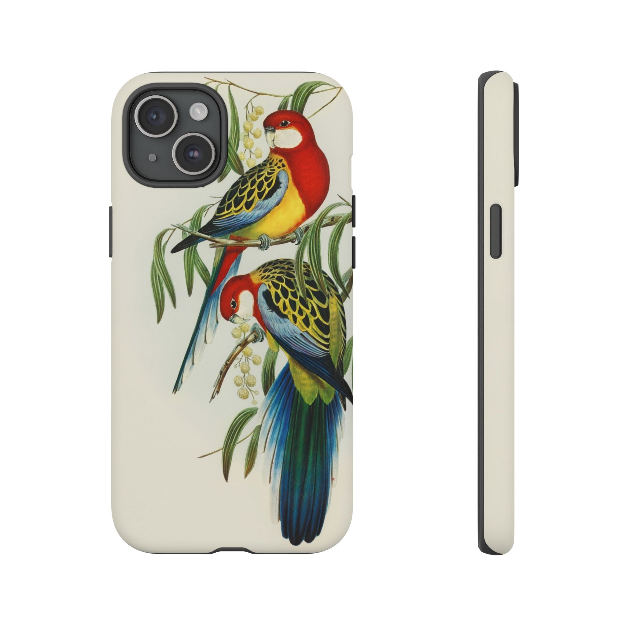 Rosehill Parakeet by Elizabeth Gould - Tough Case