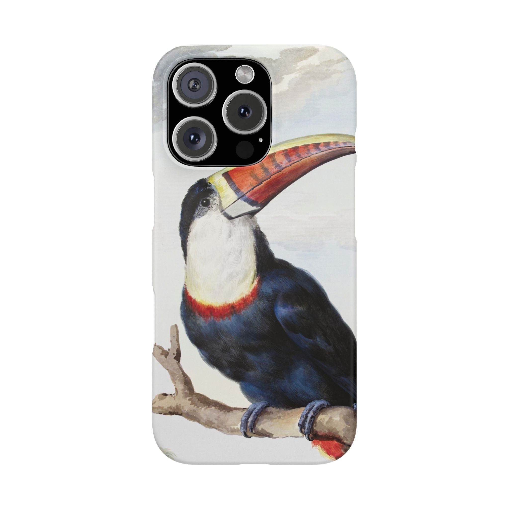 Red-billed Toucan (1748) - Snap Case
