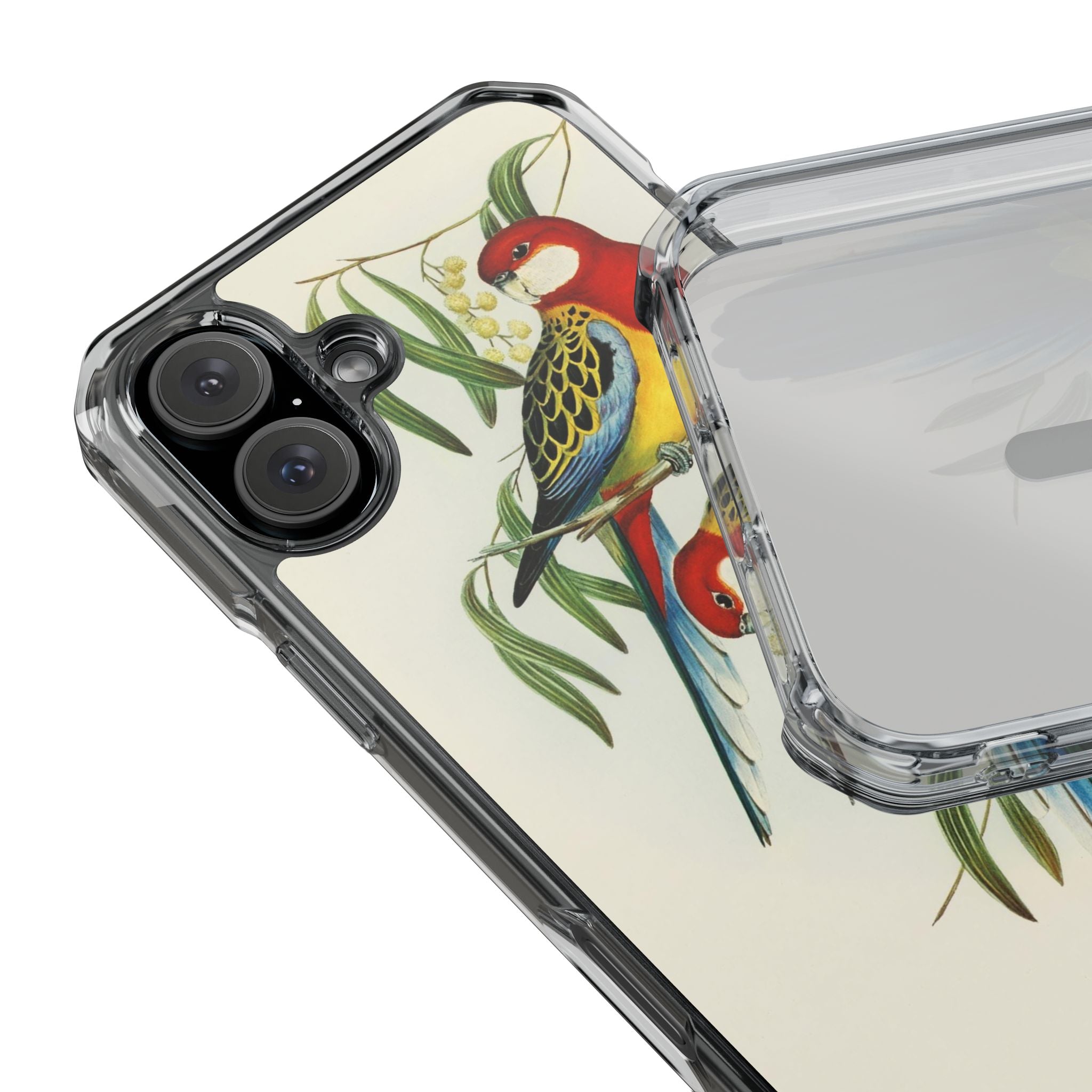 Rosehill Parakeet by Elizabeth Gould - Magnetic Clear Impact Case