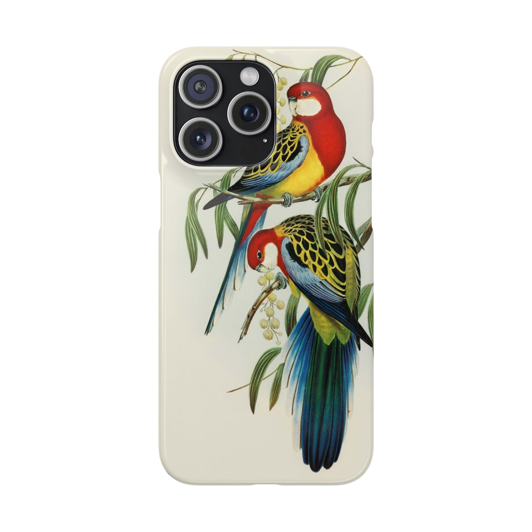 Rosehill Parakeet by Elizabeth Gould - Snap Case