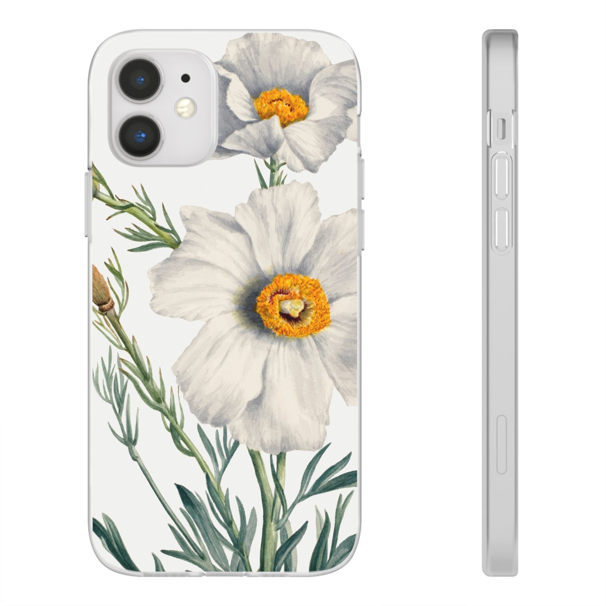 Matilija Poppy by Mary Vaux Walcott - Flexi Case