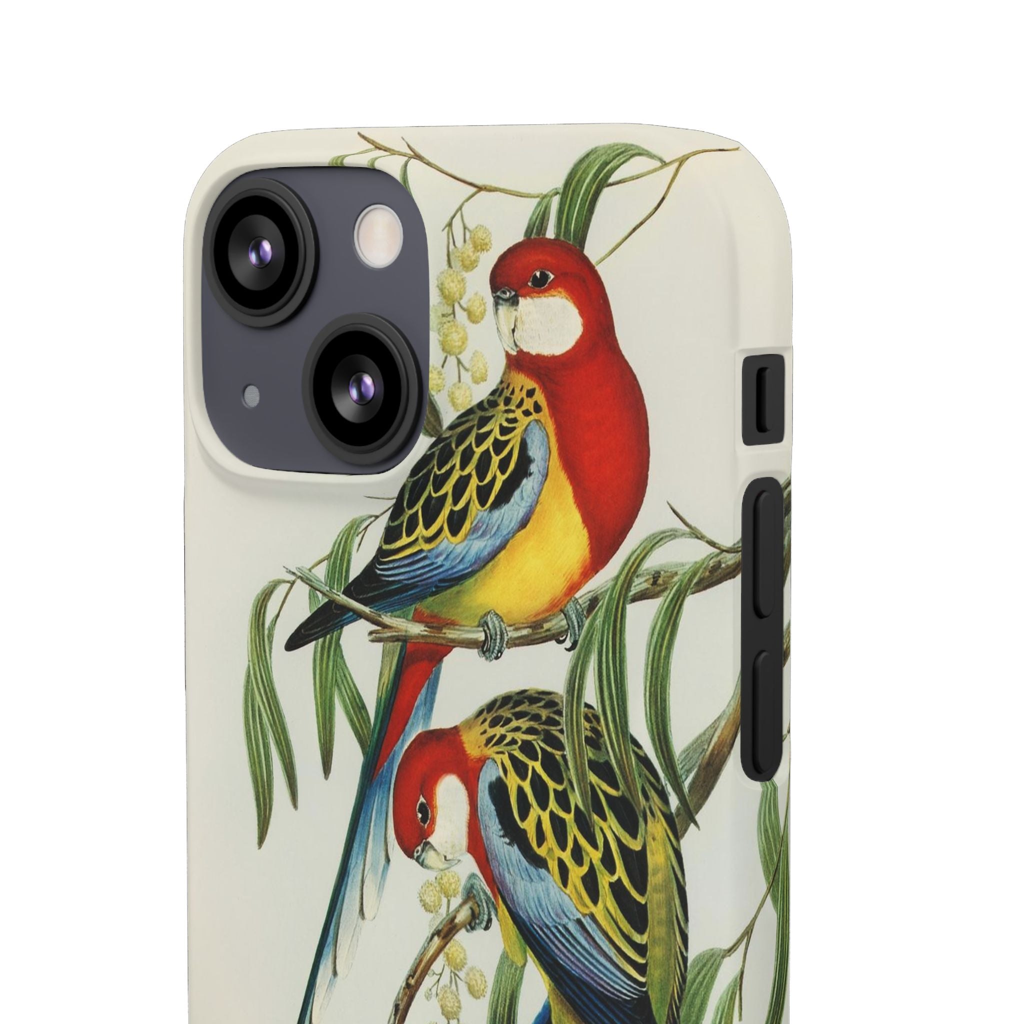 Rosehill Parakeet by Elizabeth Gould - Snap Case