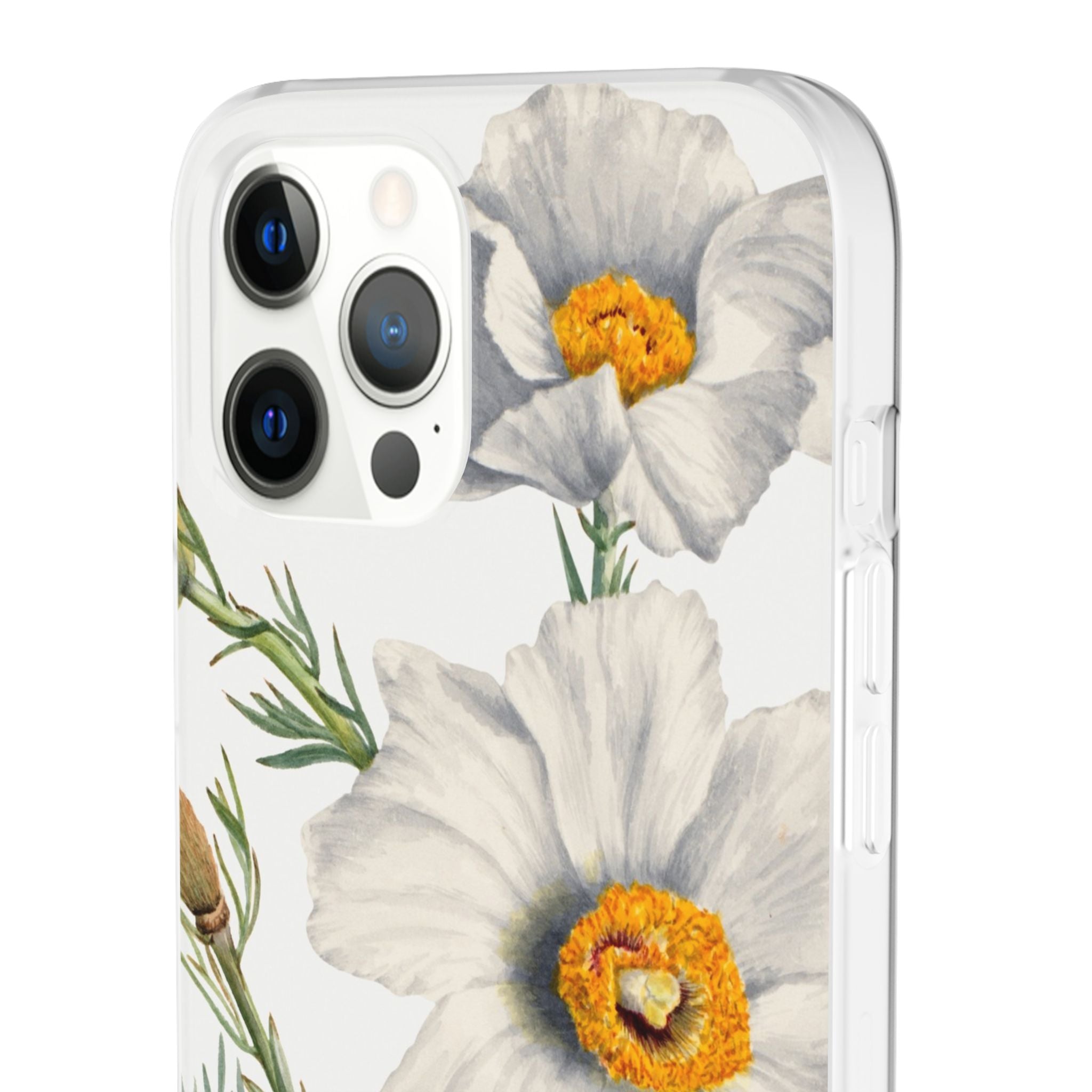 Matilija Poppy by Mary Vaux Walcott - Flexi Case