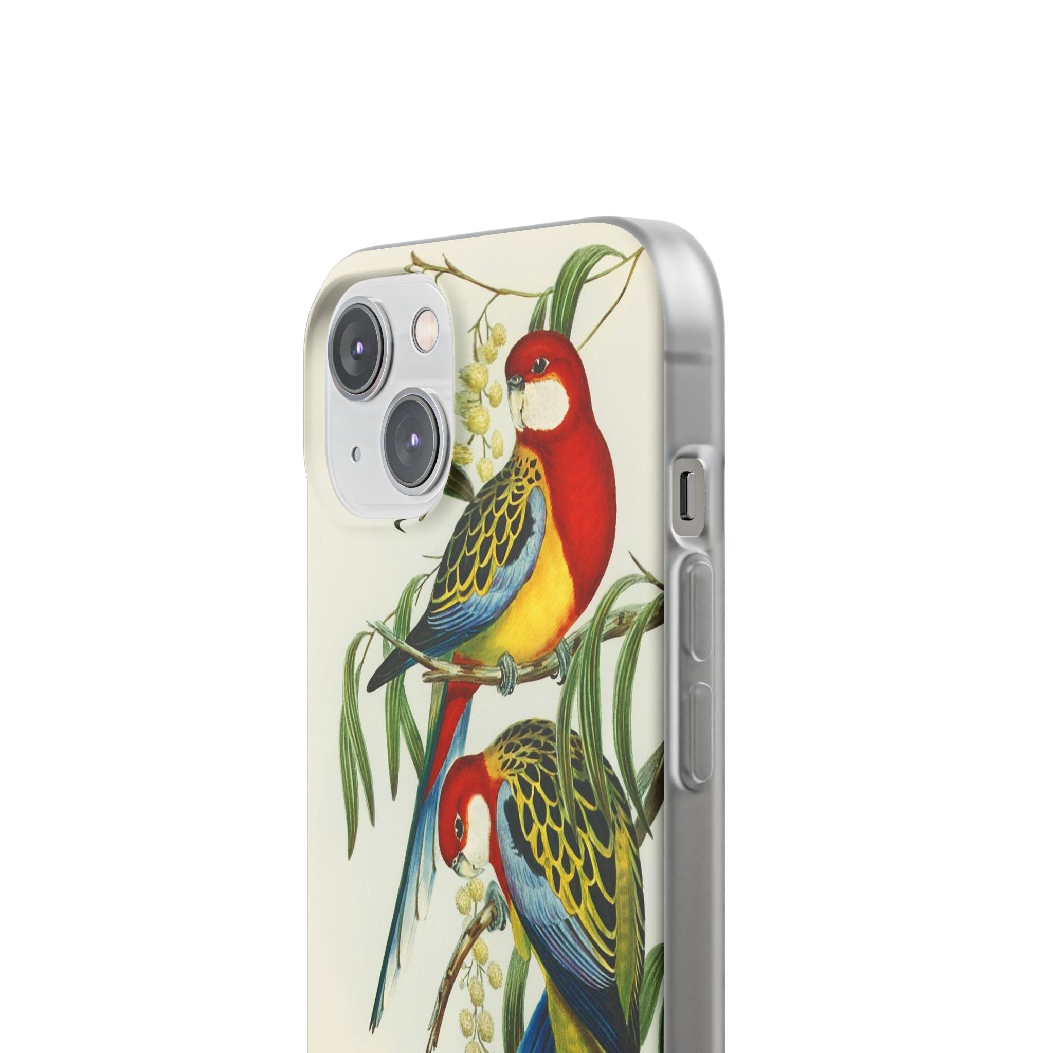 Rosehill Parakeet by Elizabeth Gould - Flexi Case