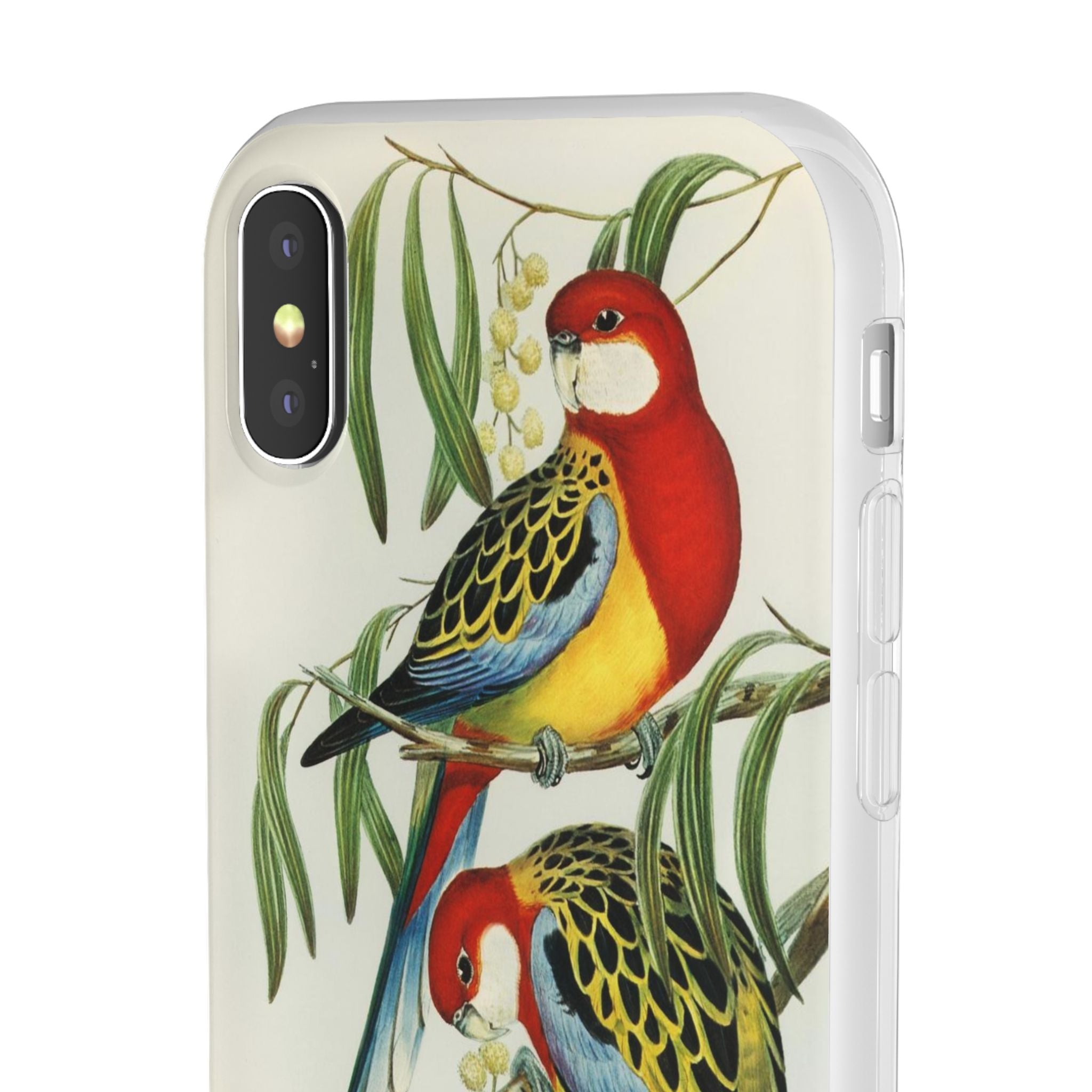 Rosehill Parakeet by Elizabeth Gould - Flexi Case