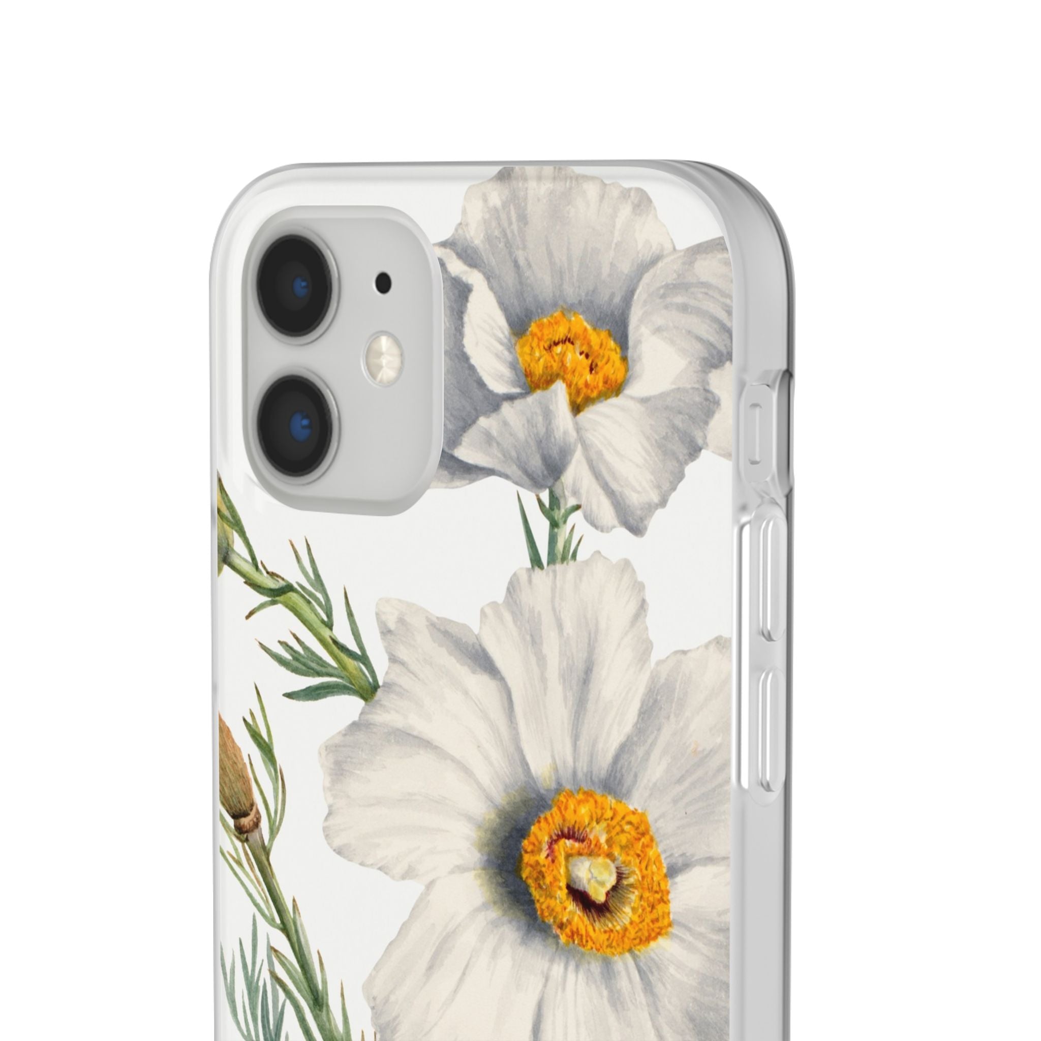 Matilija Poppy by Mary Vaux Walcott - Flexi Case