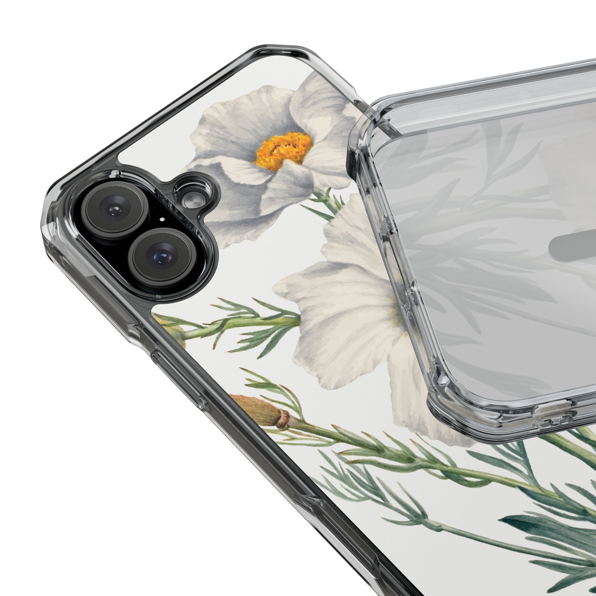 Matilija Poppy by Mary Vaux Walcott - Magnetic Clear Impact Case