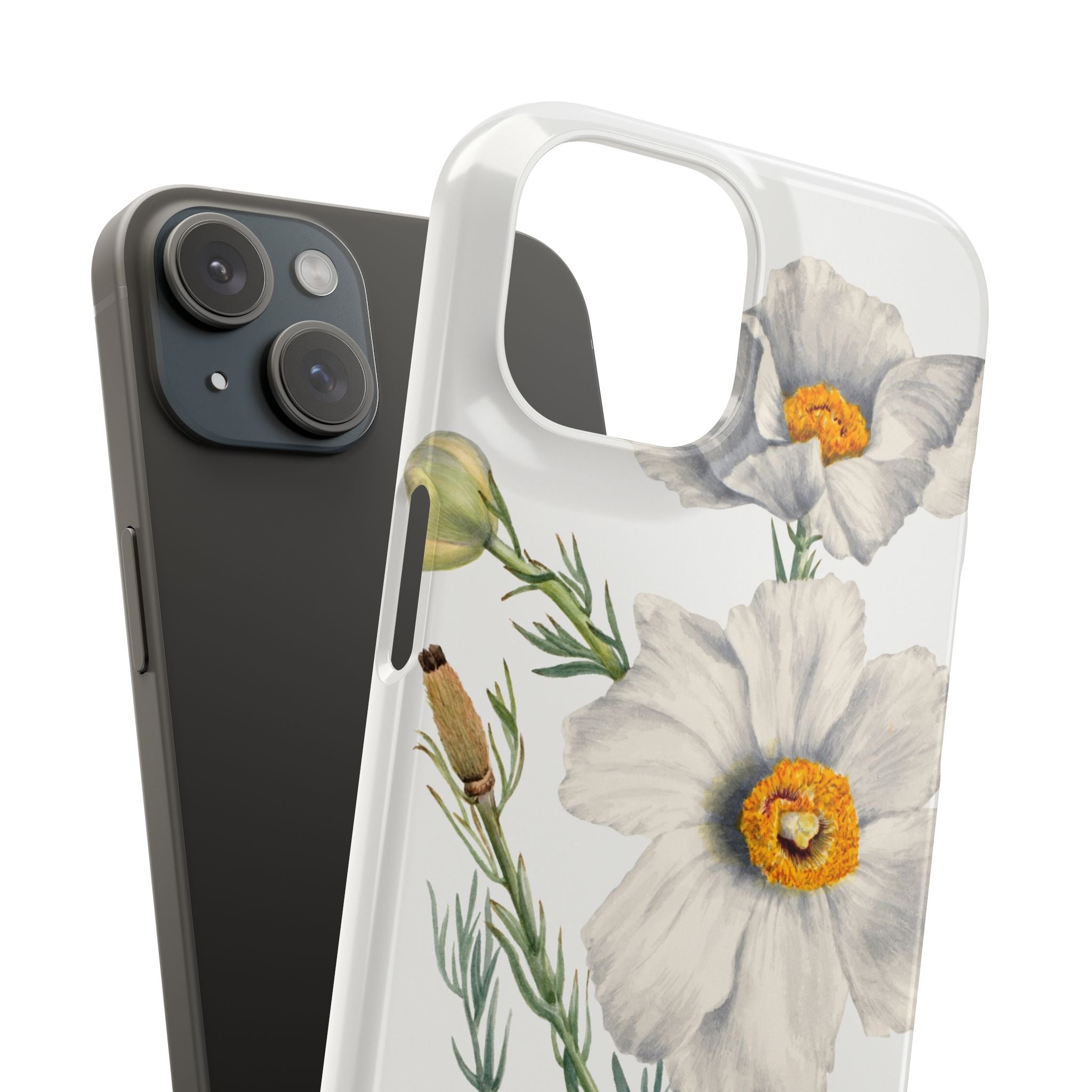 Matilija Poppy by Mary Vaux Walcott - Snap Case