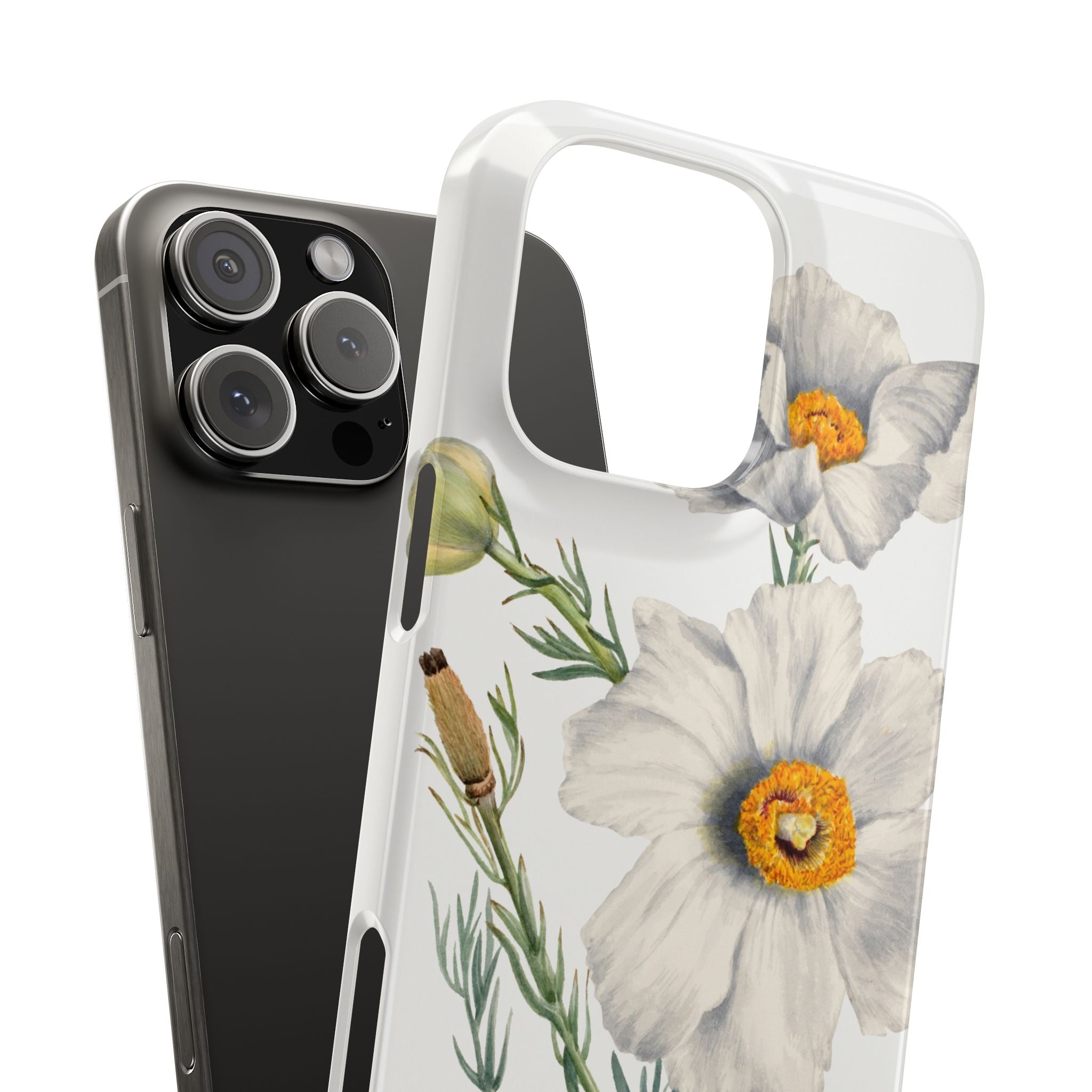 Matilija Poppy by Mary Vaux Walcott - Snap Case