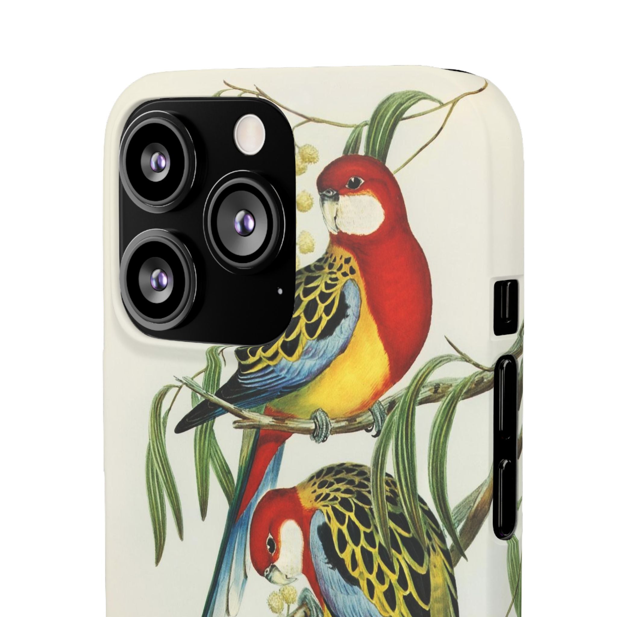 Rosehill Parakeet by Elizabeth Gould - Snap Case