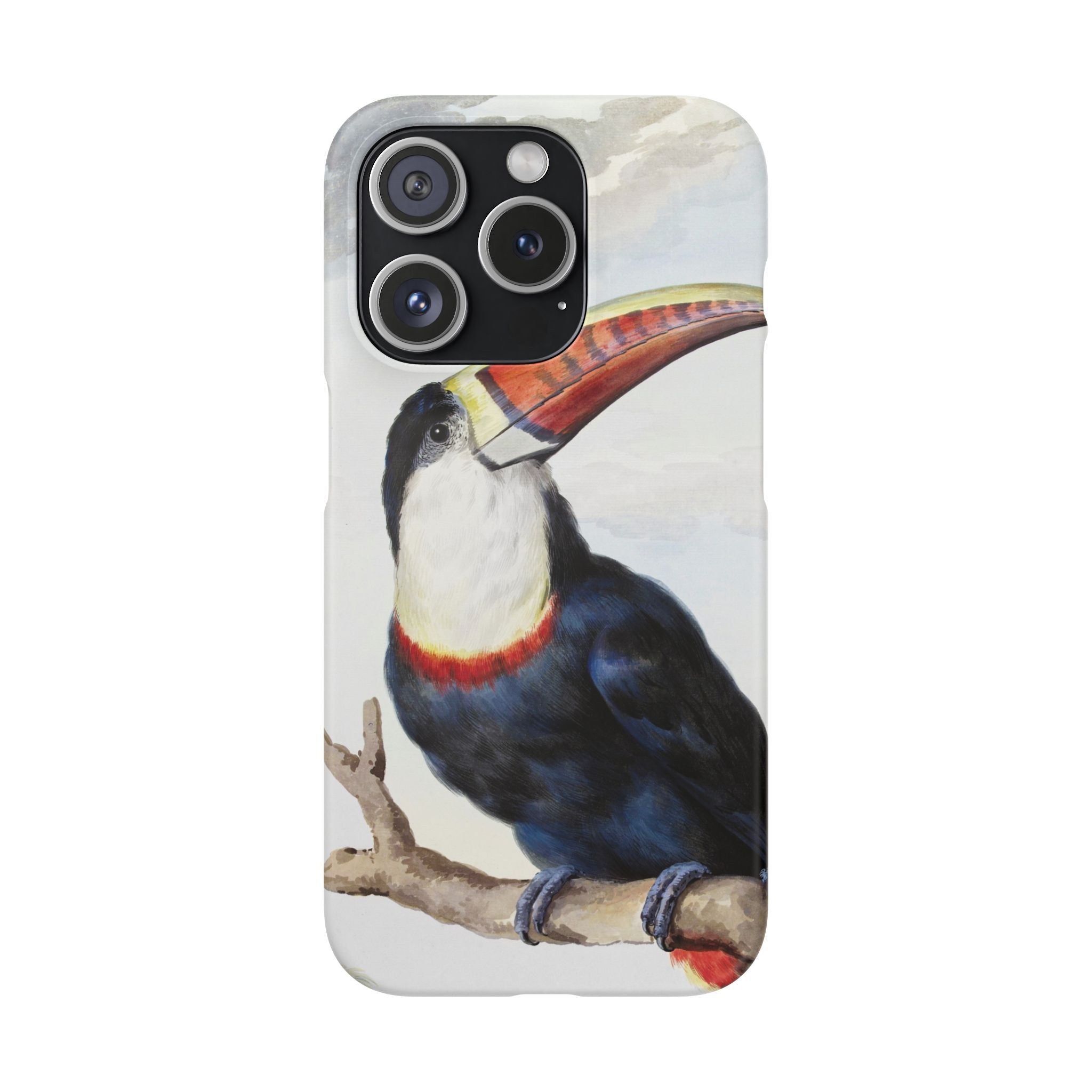Red-billed Toucan (1748) - Snap Case